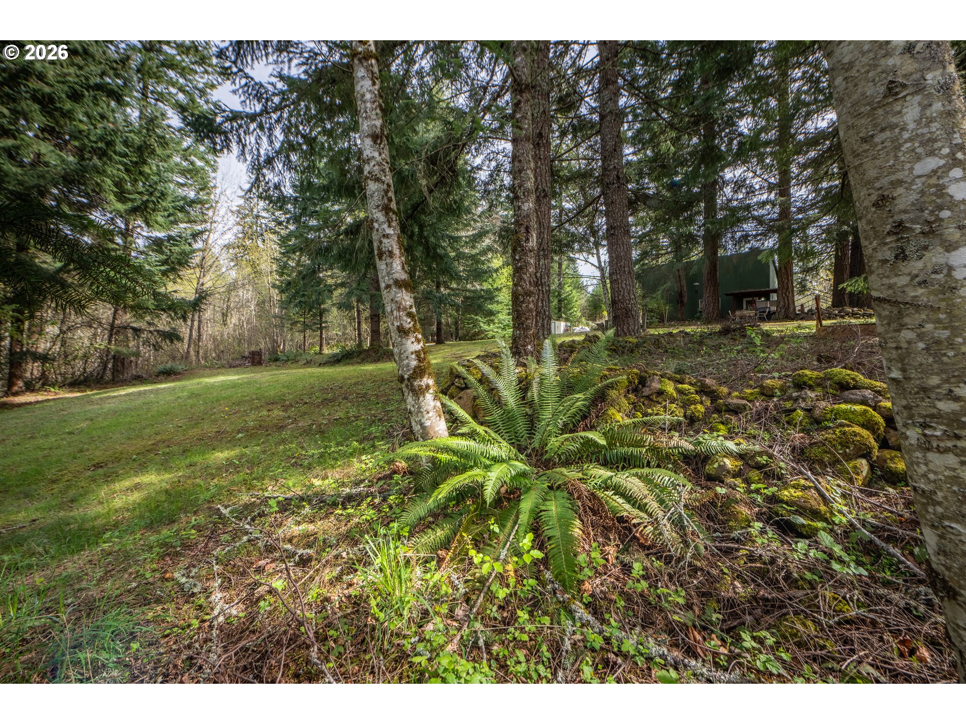 39480 Se Tumala Mountain Rd Property Photo 16