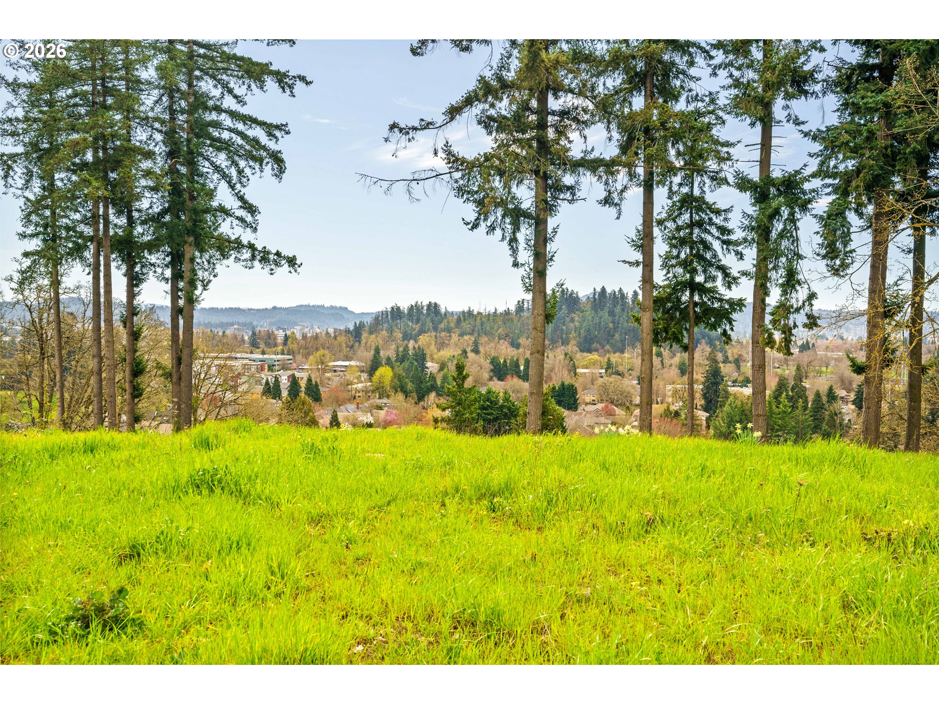 1238 Stone Forest Ct Property Photo 2