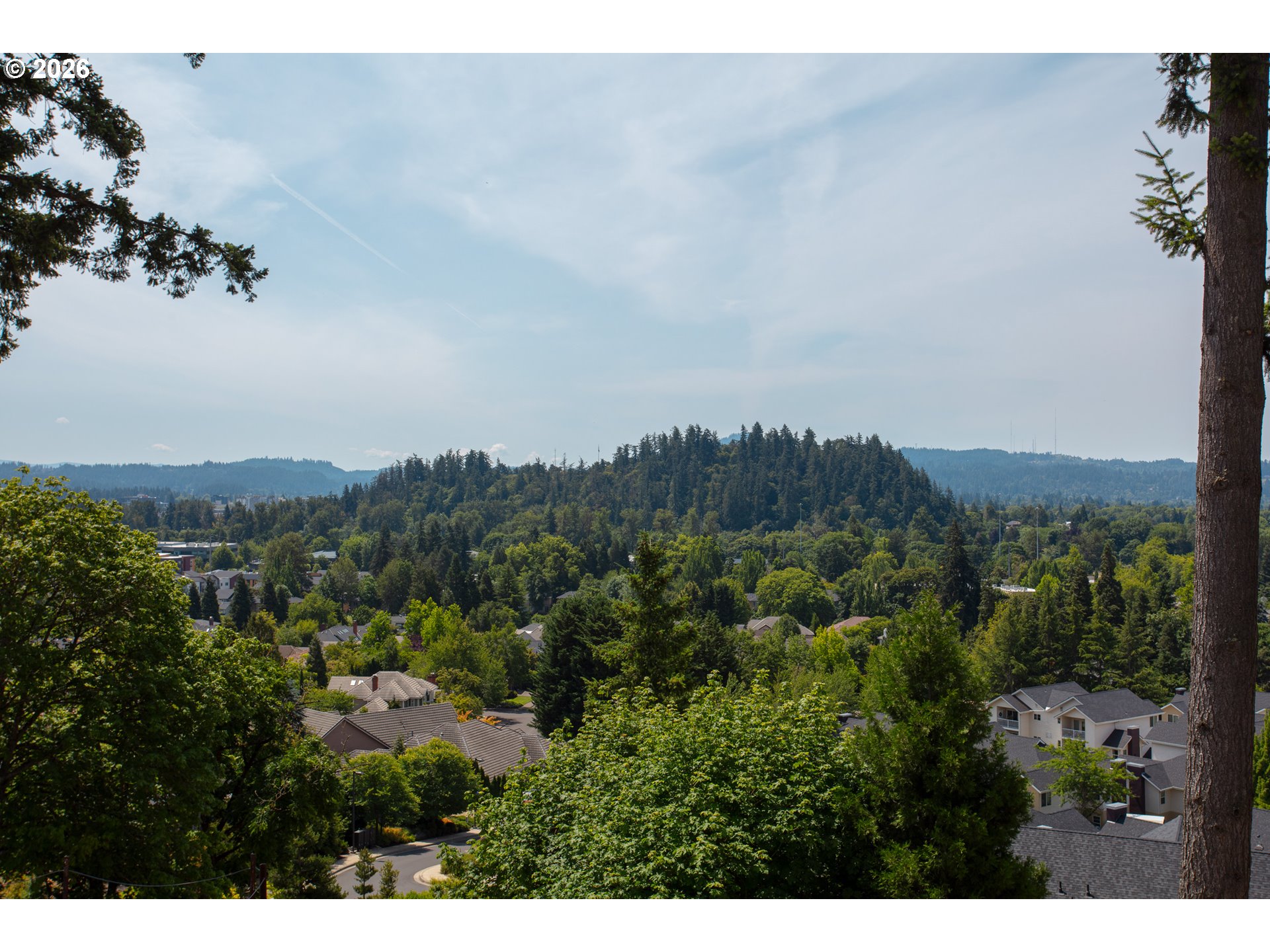 1238 Stone Forest Ct Property Photo 9