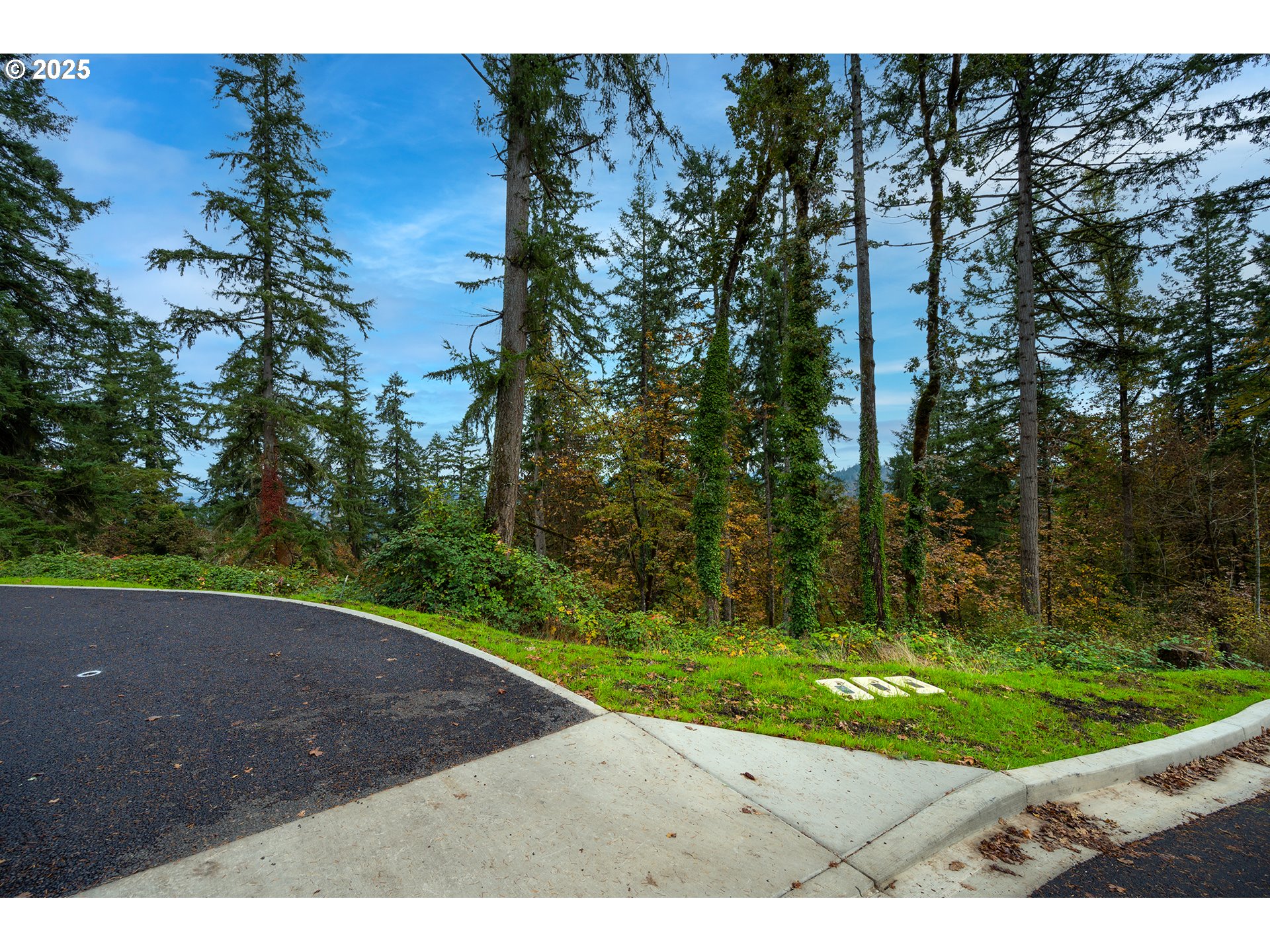 2629 Cupola DR 10 Property Photo 1