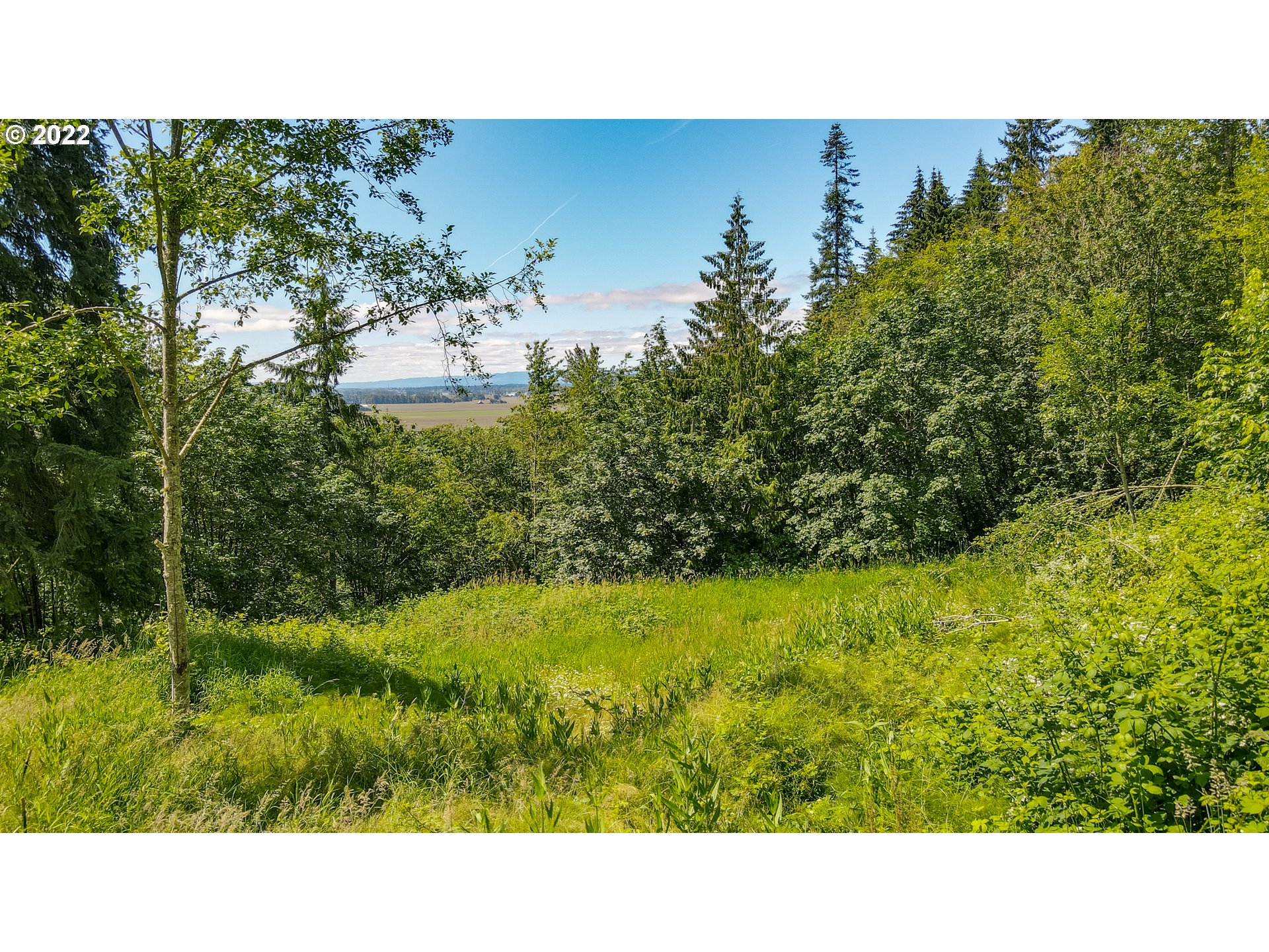 0 Columbia View Dr Property Photo 1