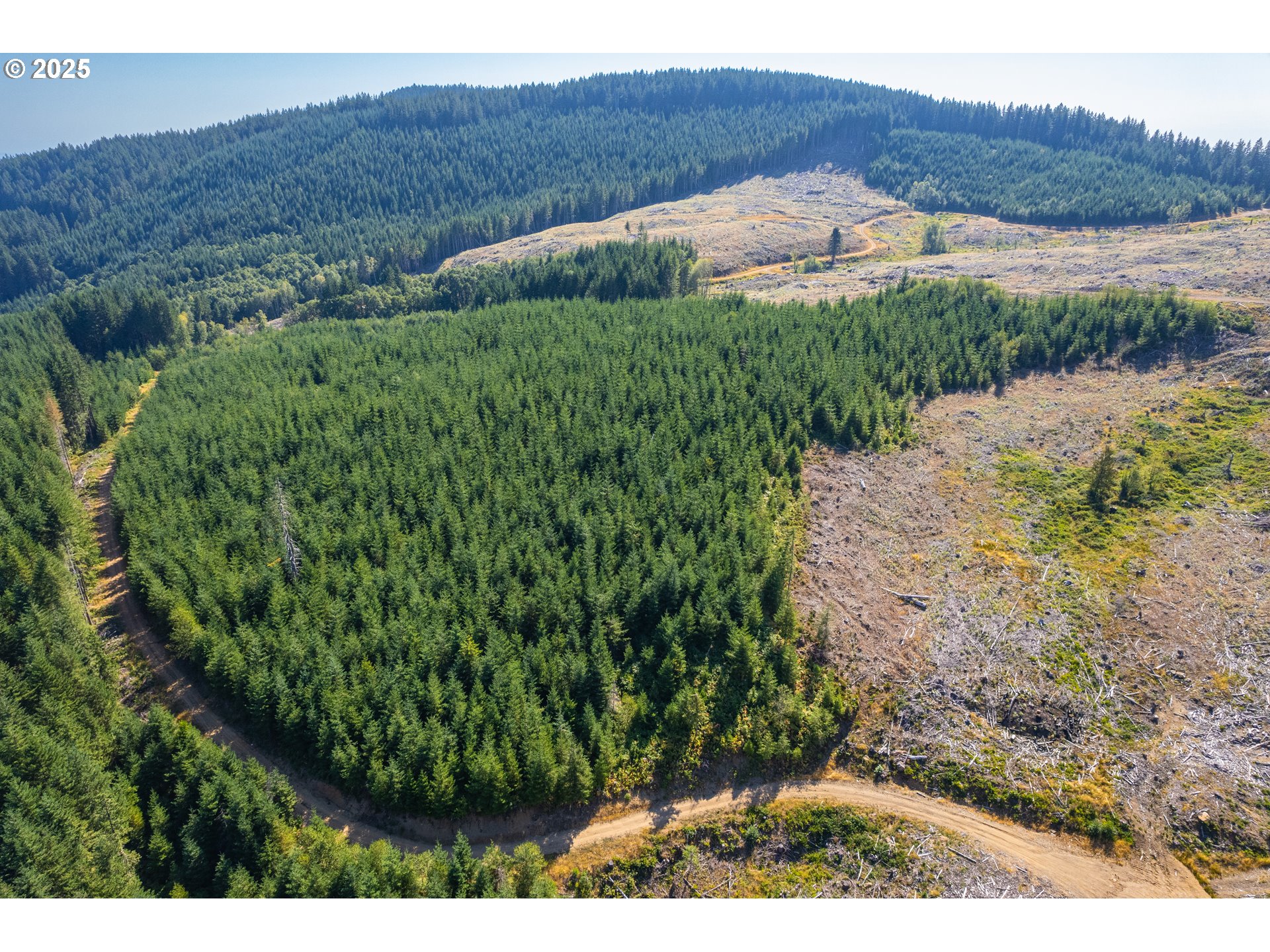 0 Bald Mountain RD