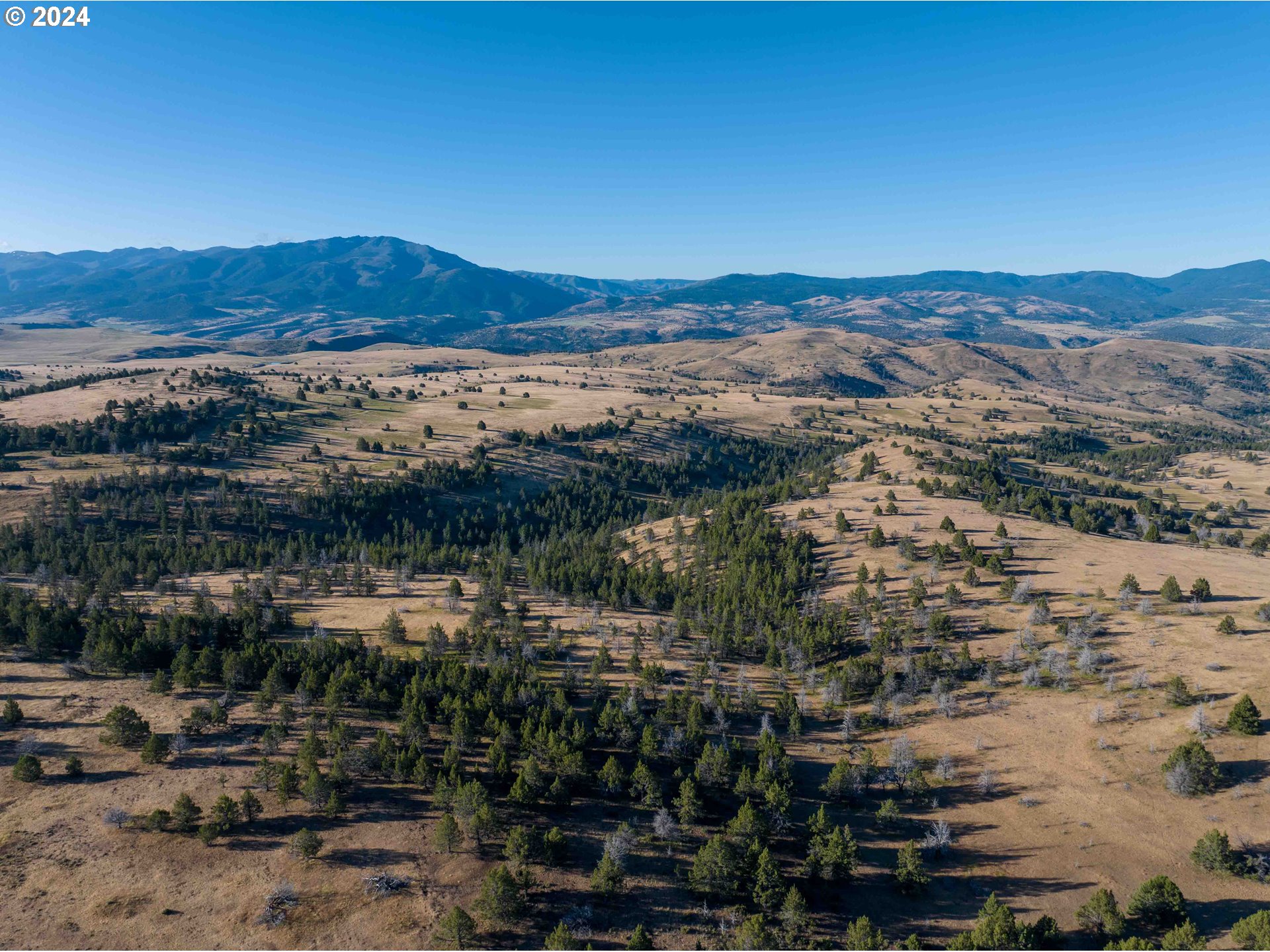 0 Davis Creek Rd Property Photo 1