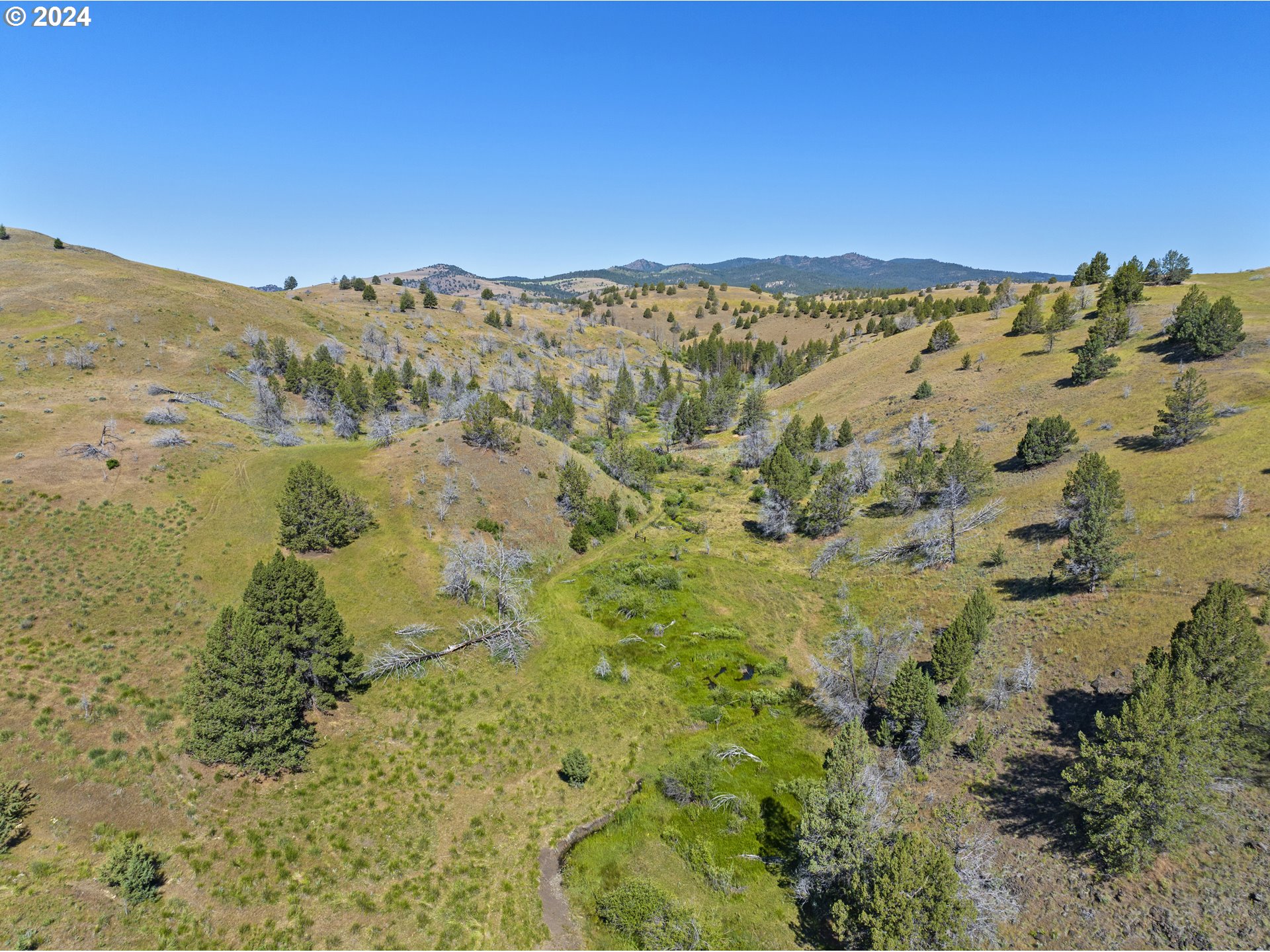 0 Davis Creek Rd Property Photo 3