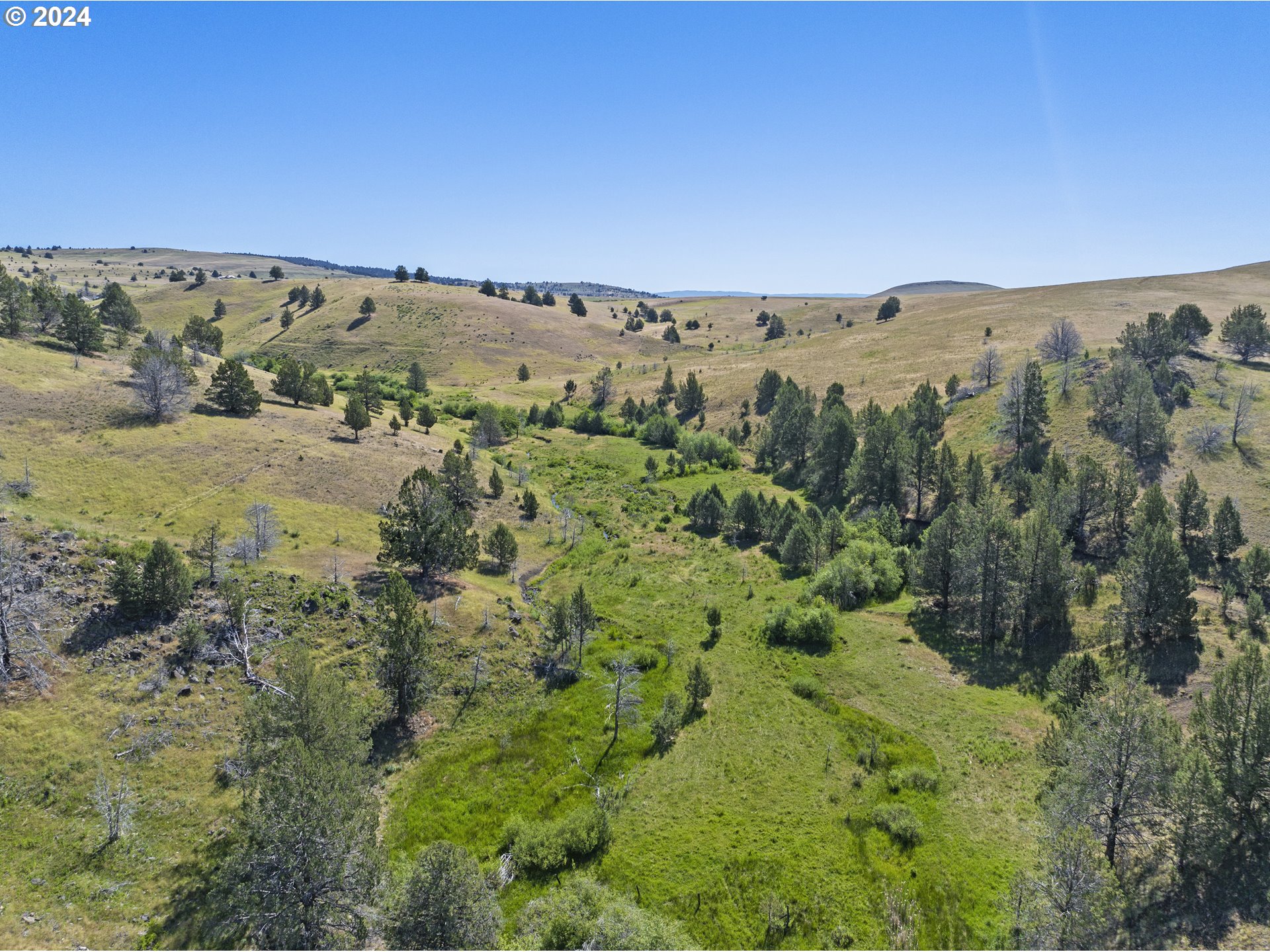 0 Davis Creek Rd Property Photo 4