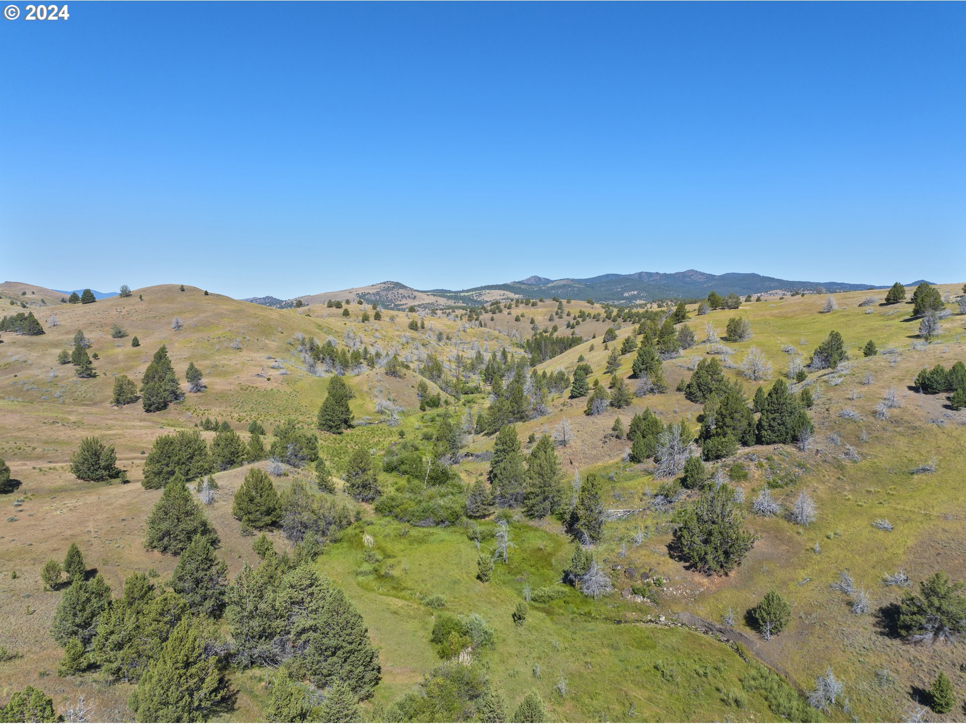 0 Davis Creek Rd Property Photo 5