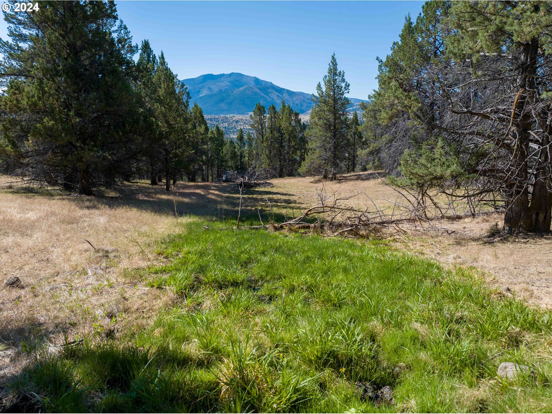 0 Davis Creek Rd Property Photo 8