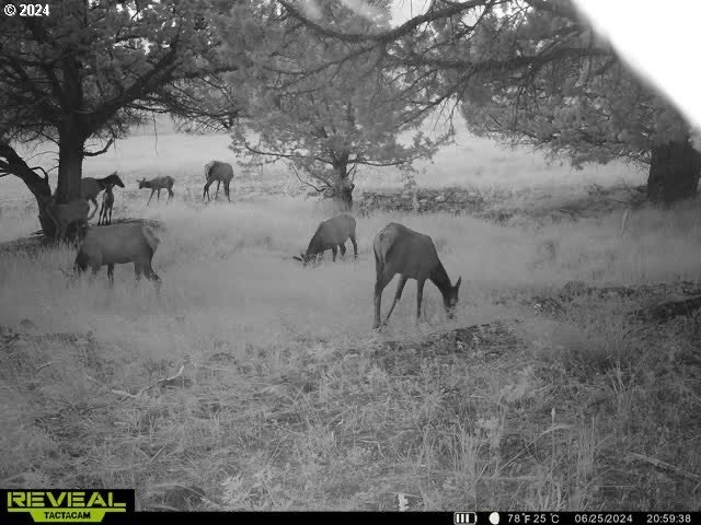 0 Davis Creek Rd Property Photo 9