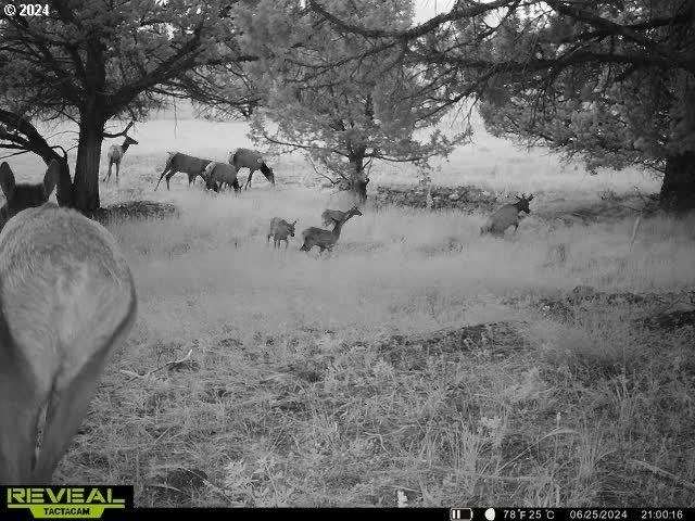 0 Davis Creek Rd Property Photo 10