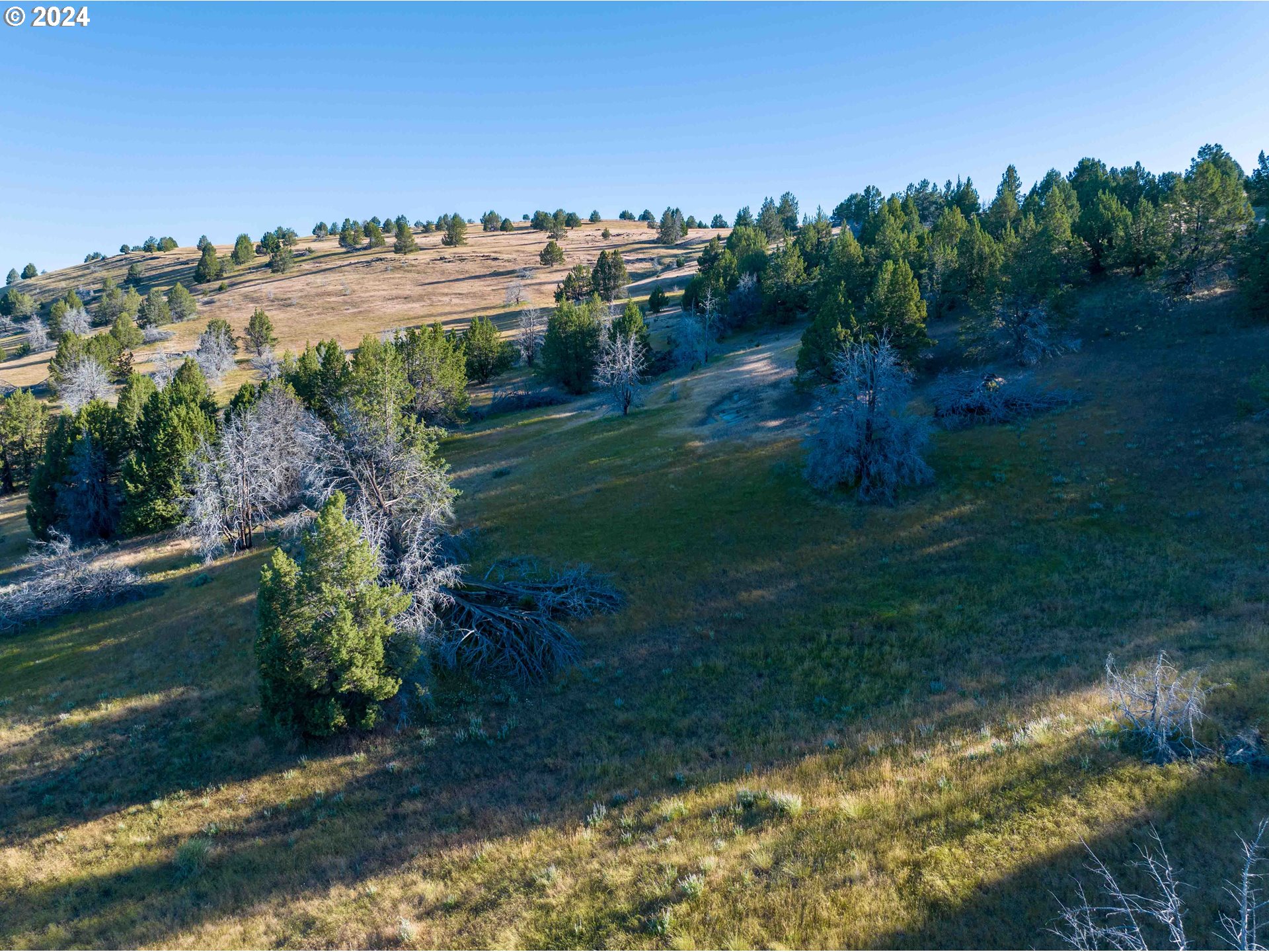 0 Davis Creek Rd Property Photo 11