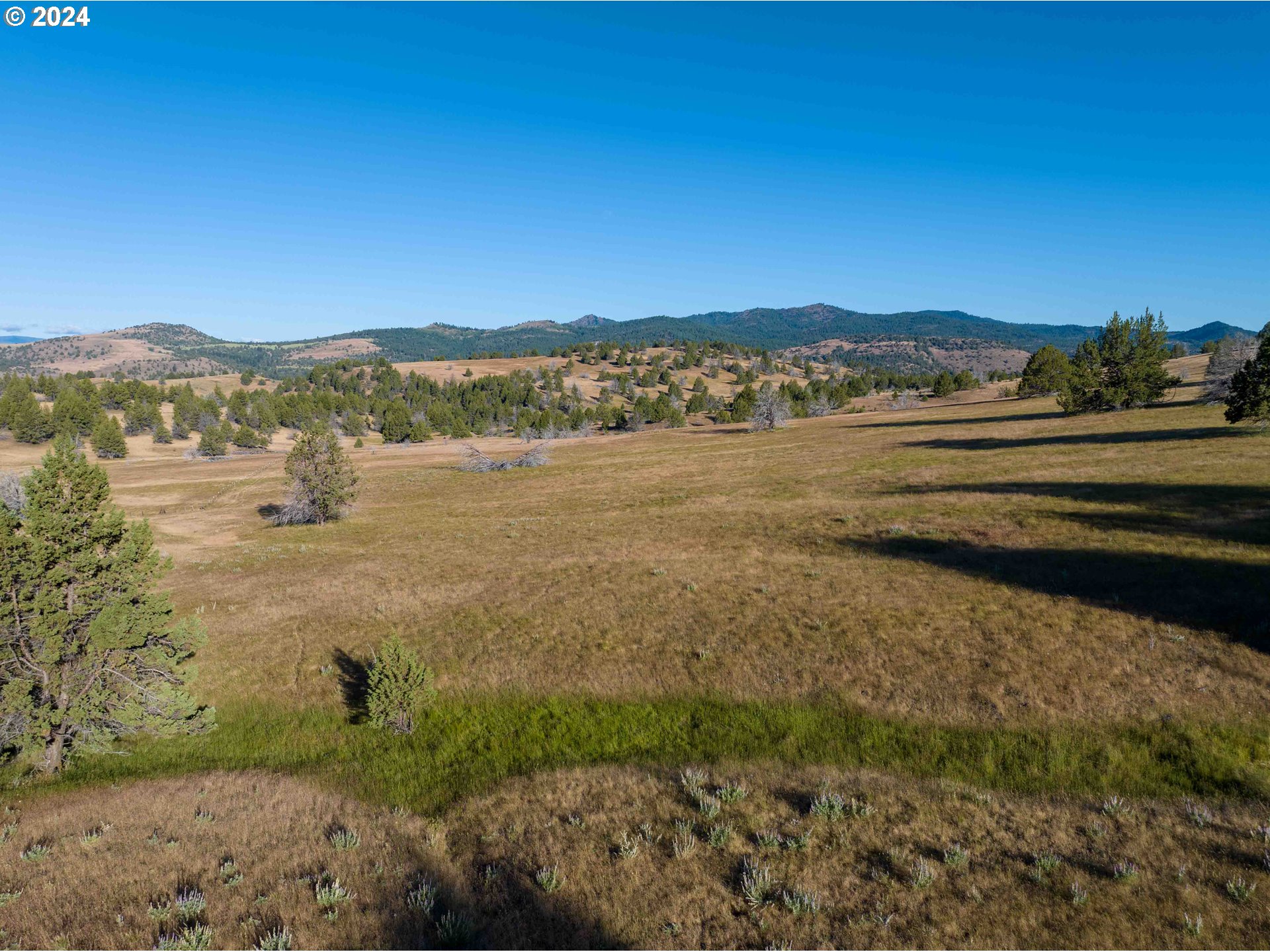 0 Davis Creek Rd Property Photo 12