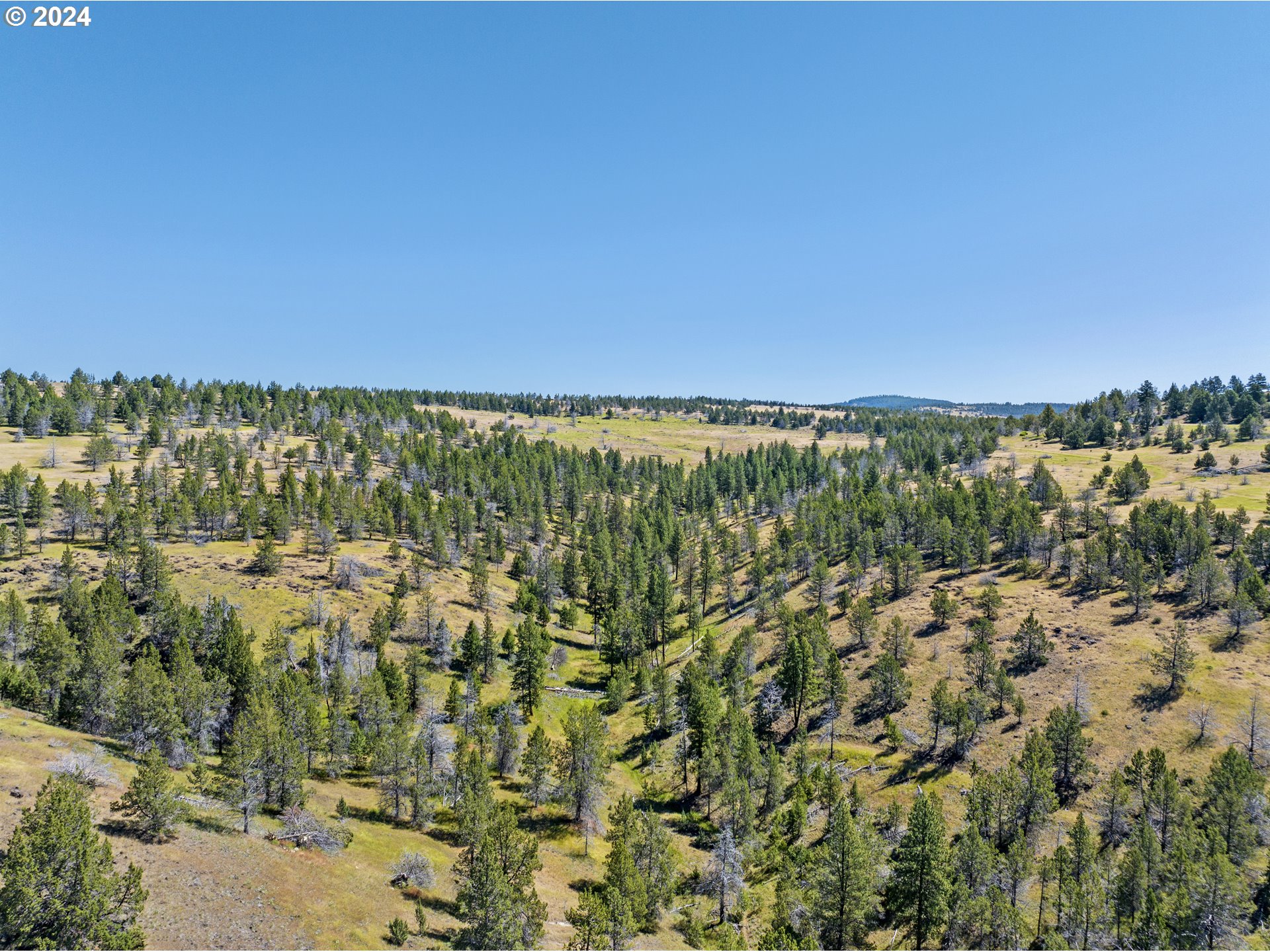 0 Davis Creek Rd Property Photo 14