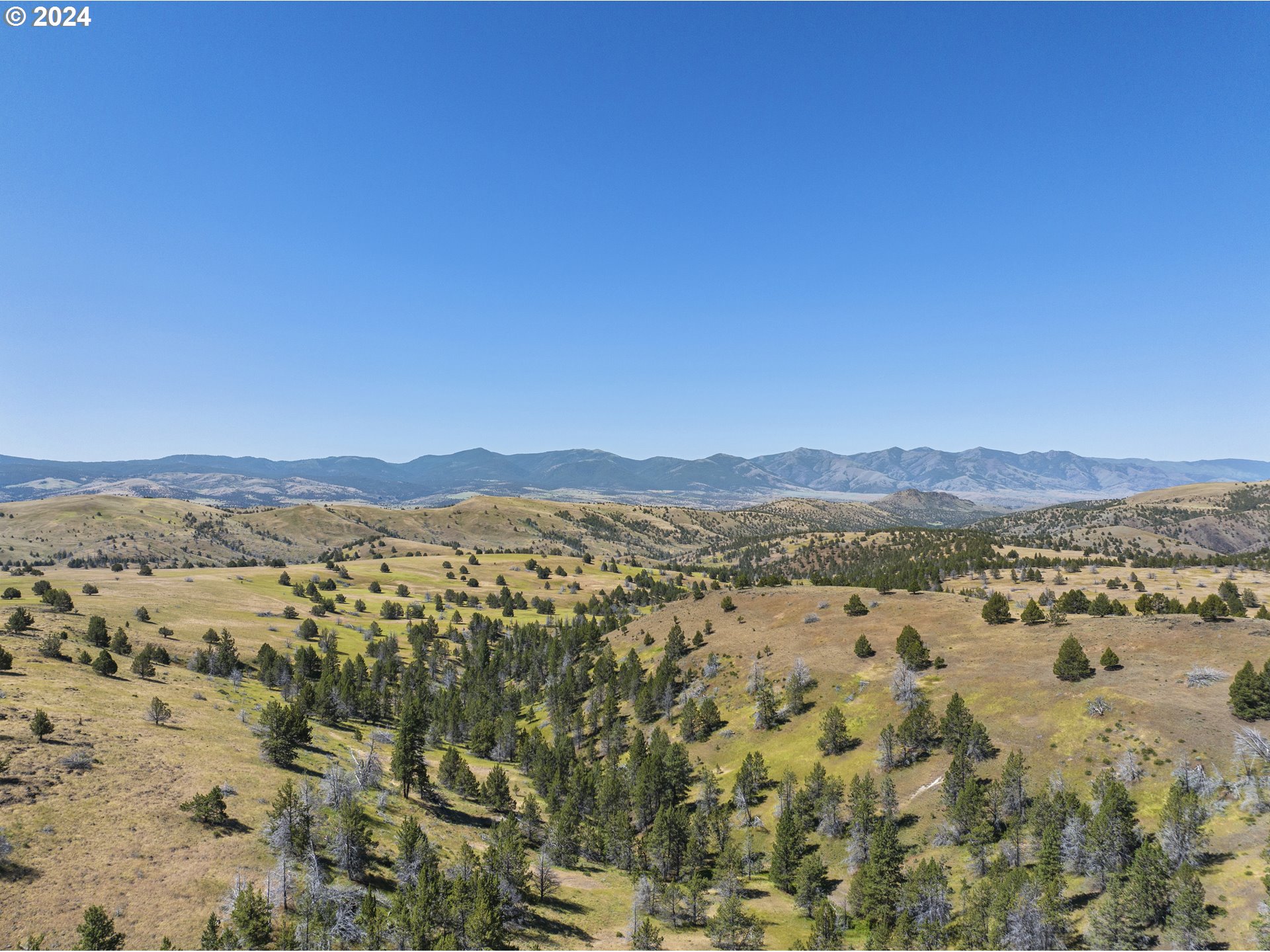 0 Davis Creek Rd Property Photo 15