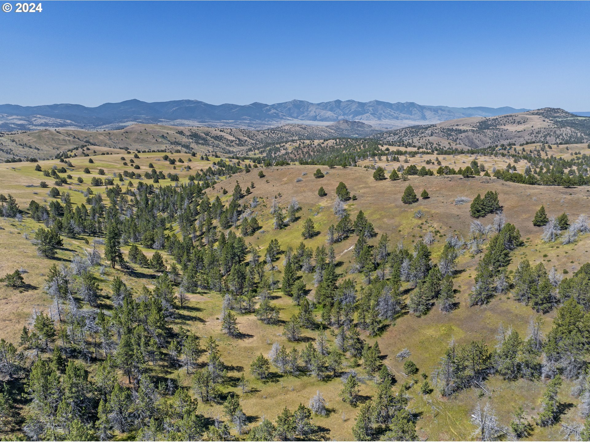 0 Davis Creek Rd Property Photo 16