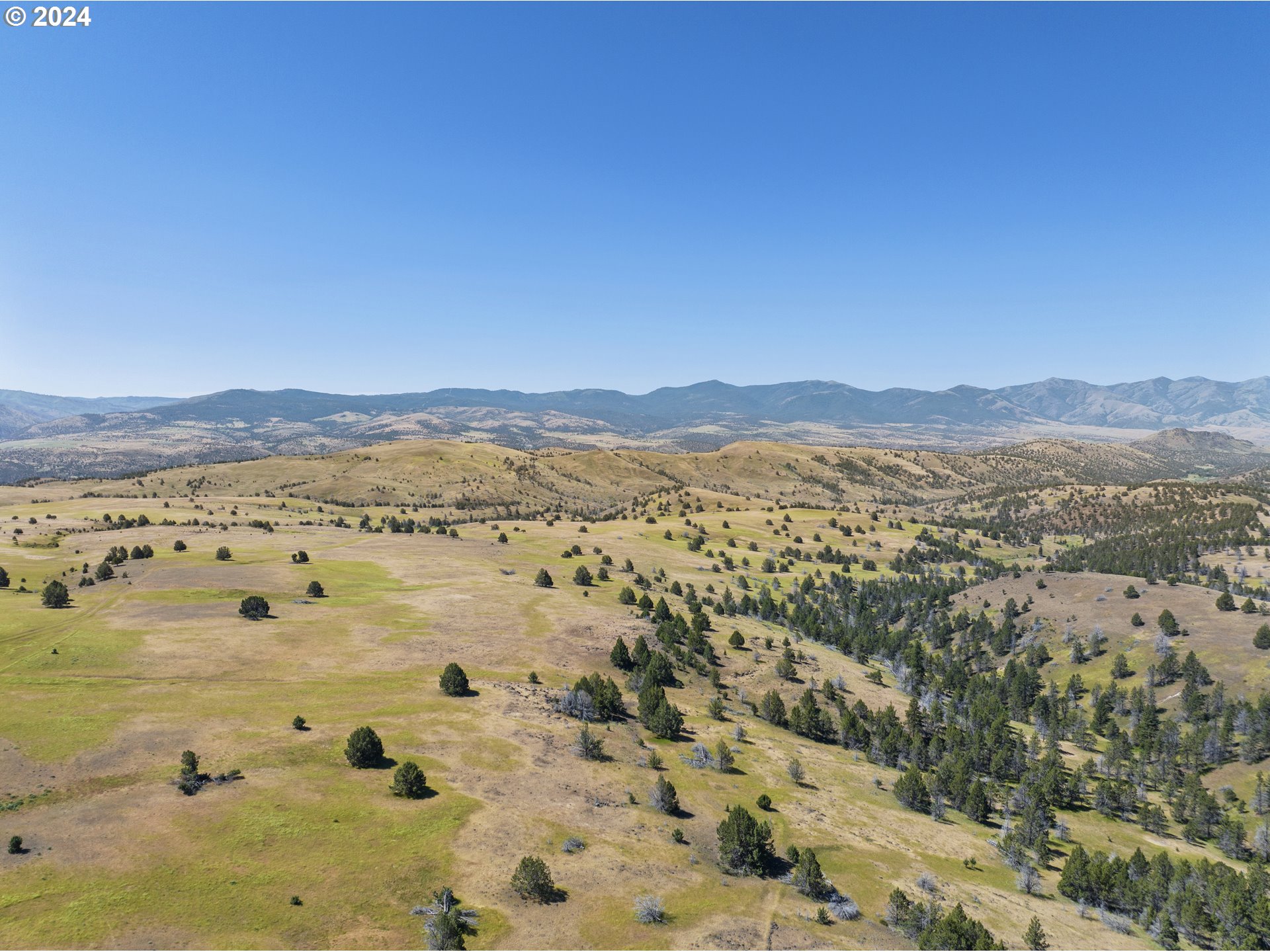 0 Davis Creek Rd Property Photo 17