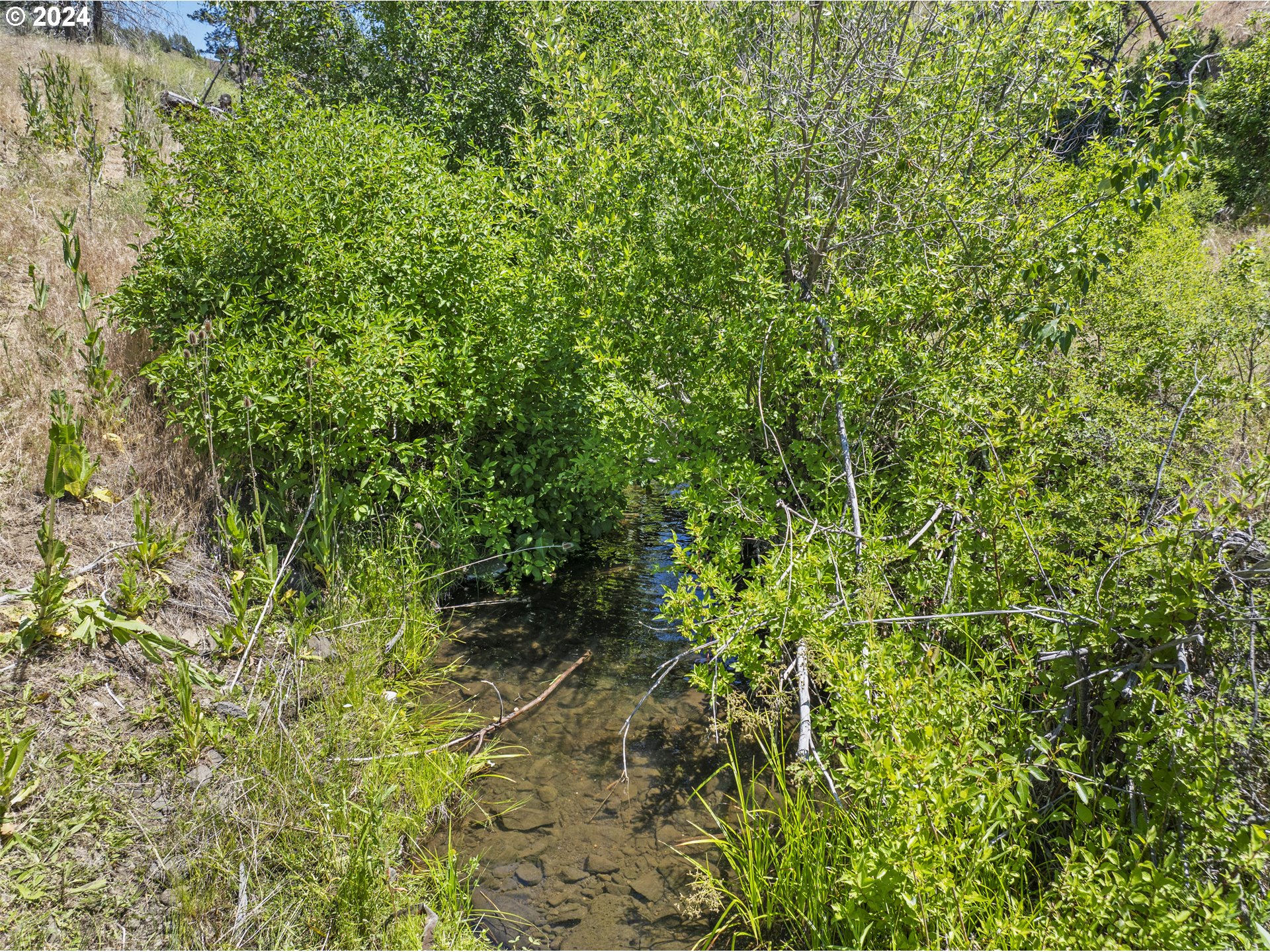 0 Davis Creek Rd Property Photo 19