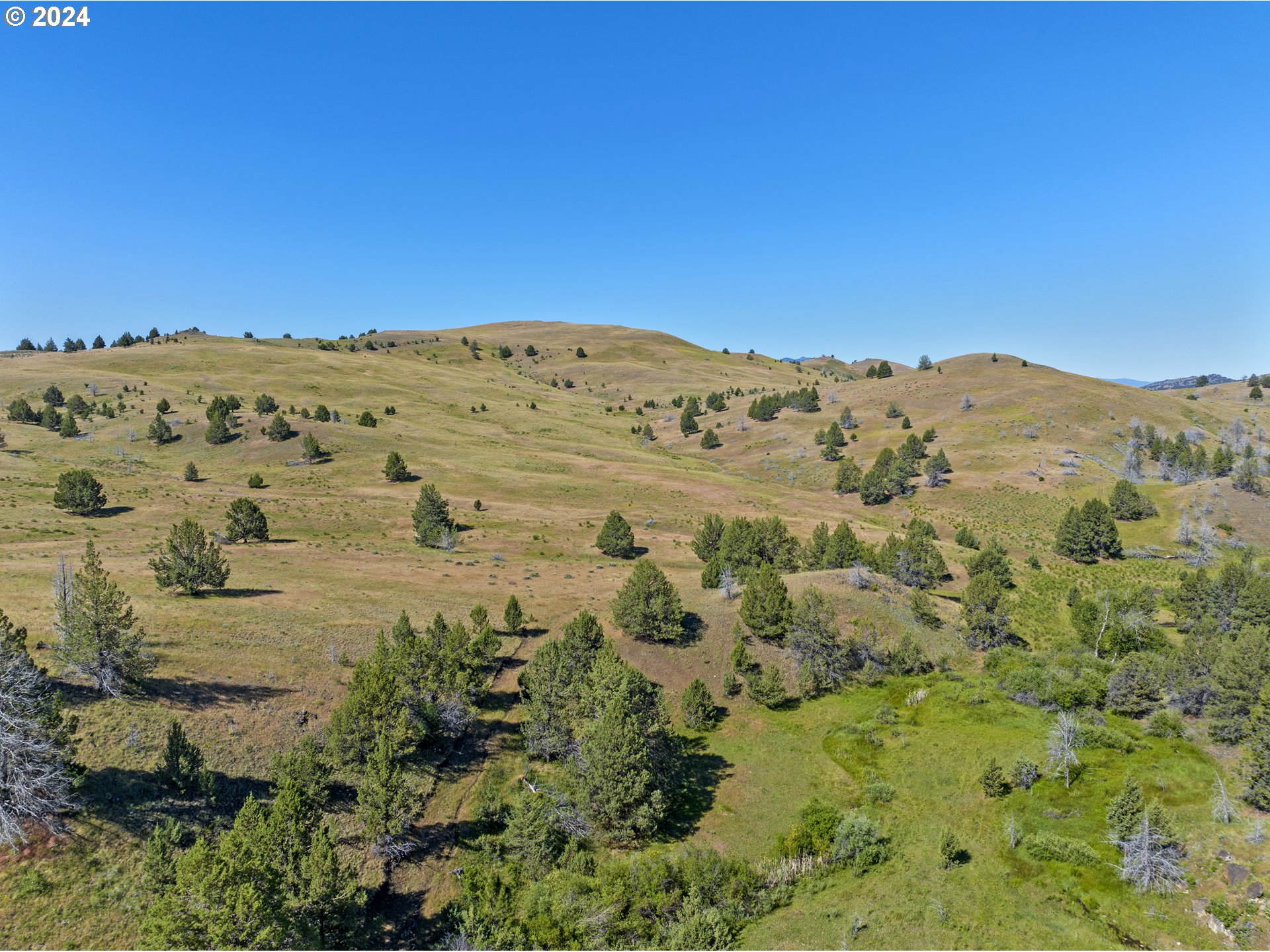 0 Davis Creek Rd Property Photo 20