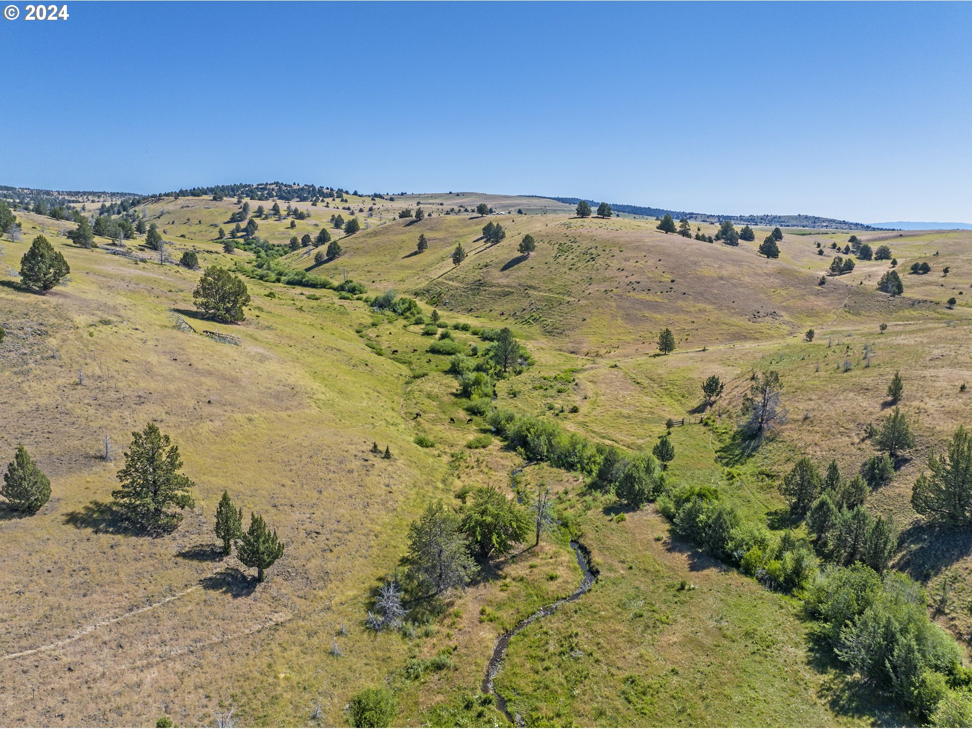 0 Davis Creek Rd Property Photo 22
