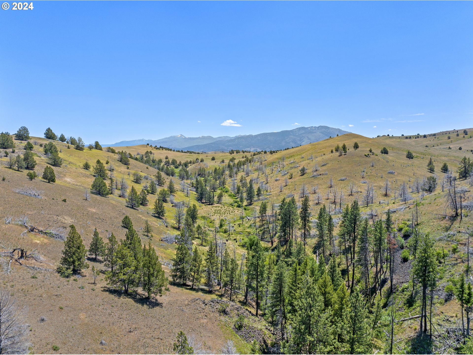 0 Davis Creek Rd Property Photo 23