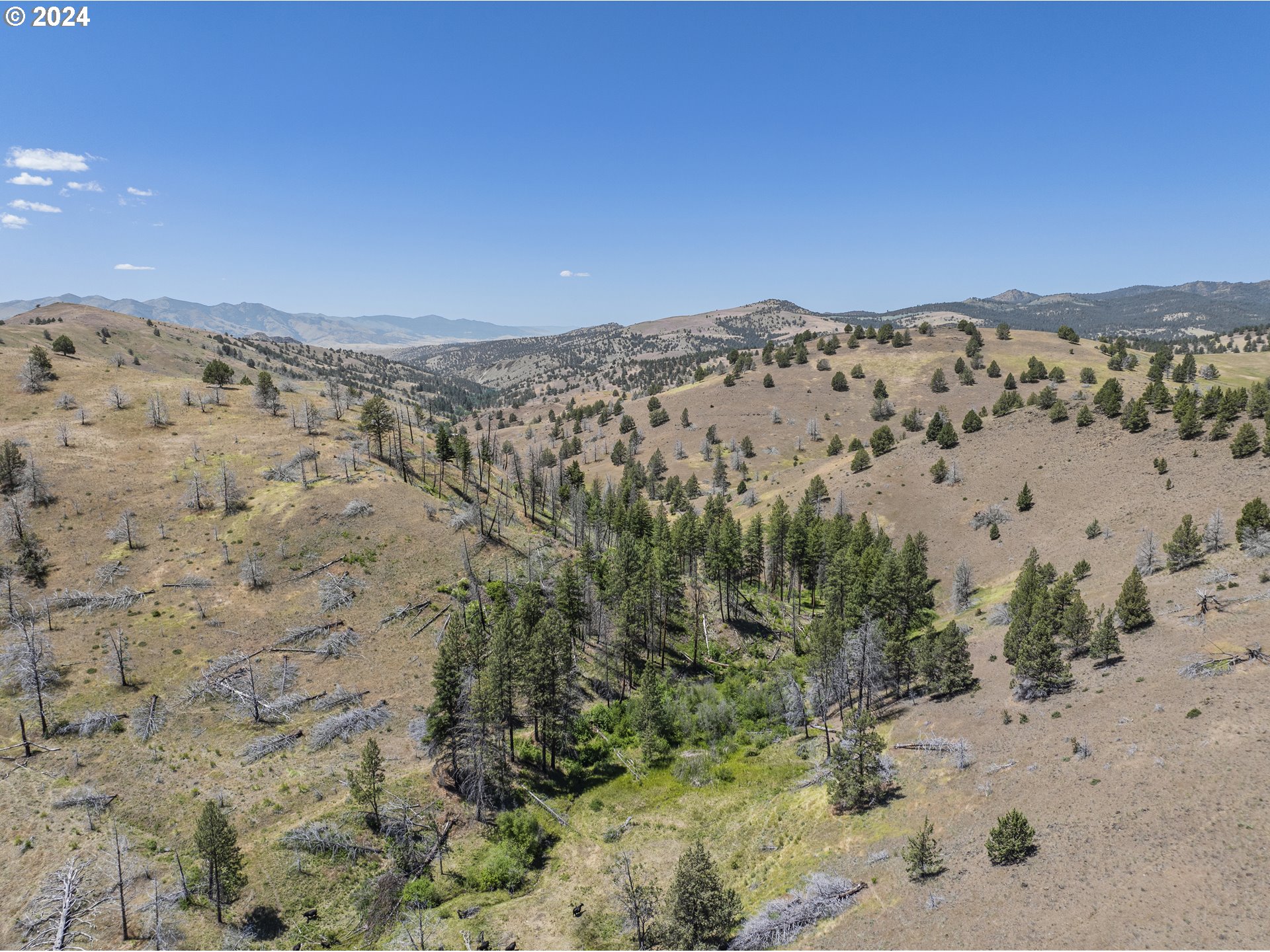 0 Davis Creek Rd Property Photo 29