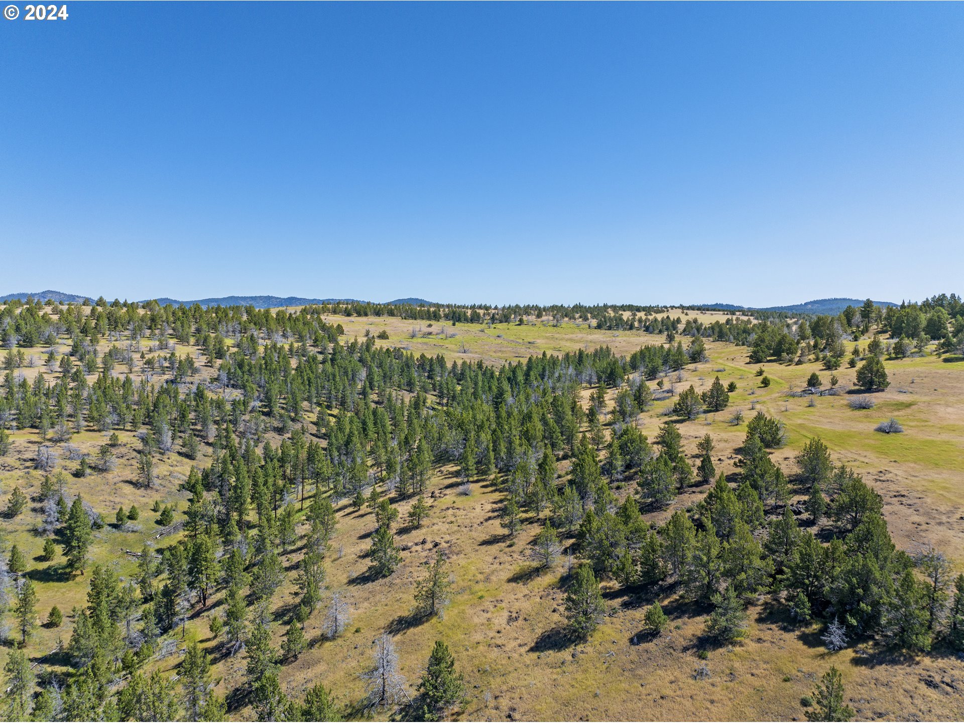 0 Davis Creek Rd Property Photo 30