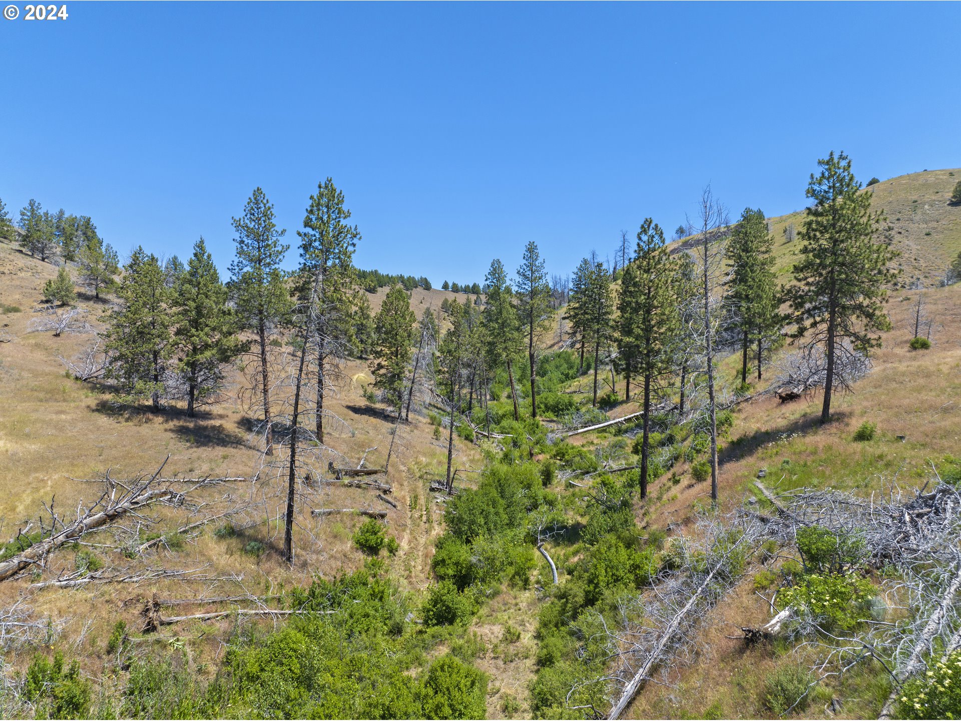 0 Davis Creek Rd Property Photo 34
