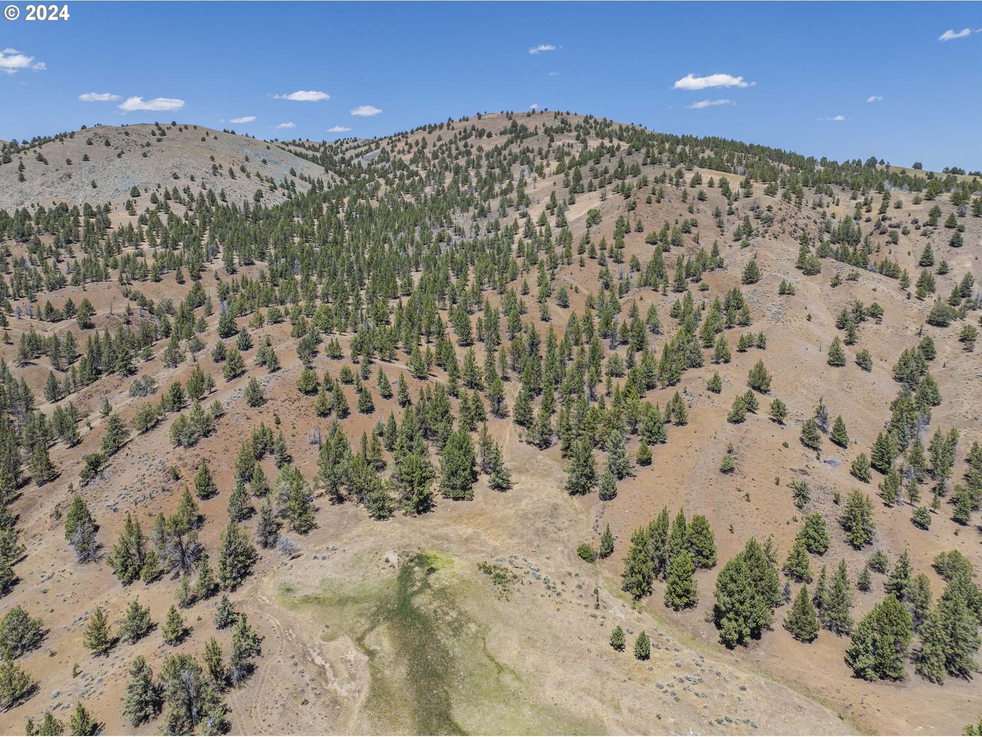 0 Davis Creek Rd Property Photo 35
