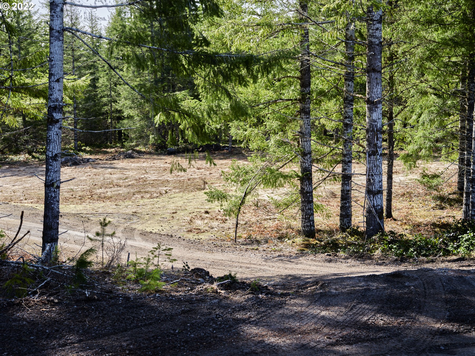 6 Loowit Ln Property Photo 2