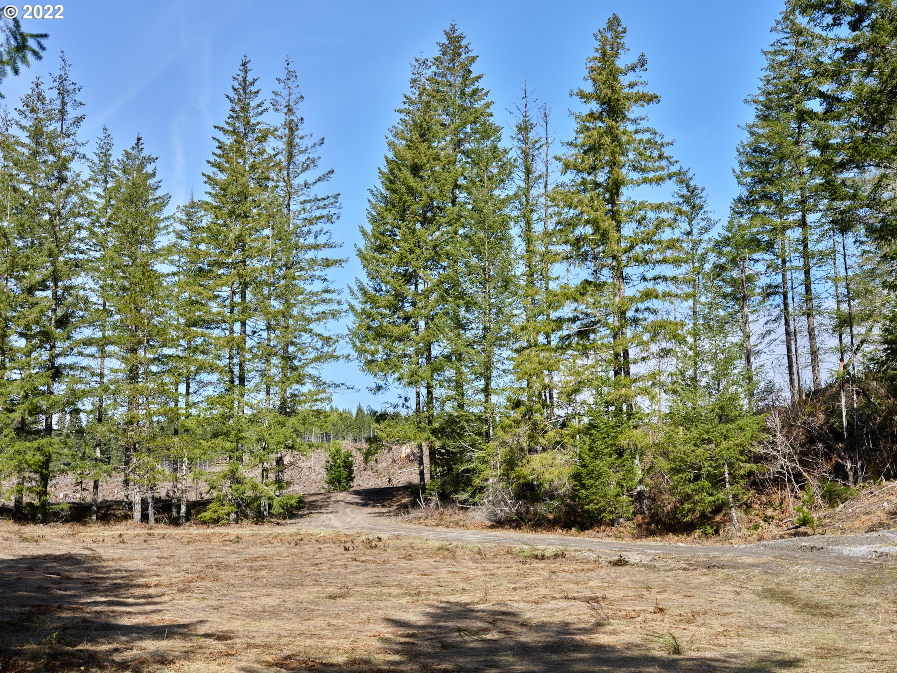6 Loowit Ln Property Photo 3
