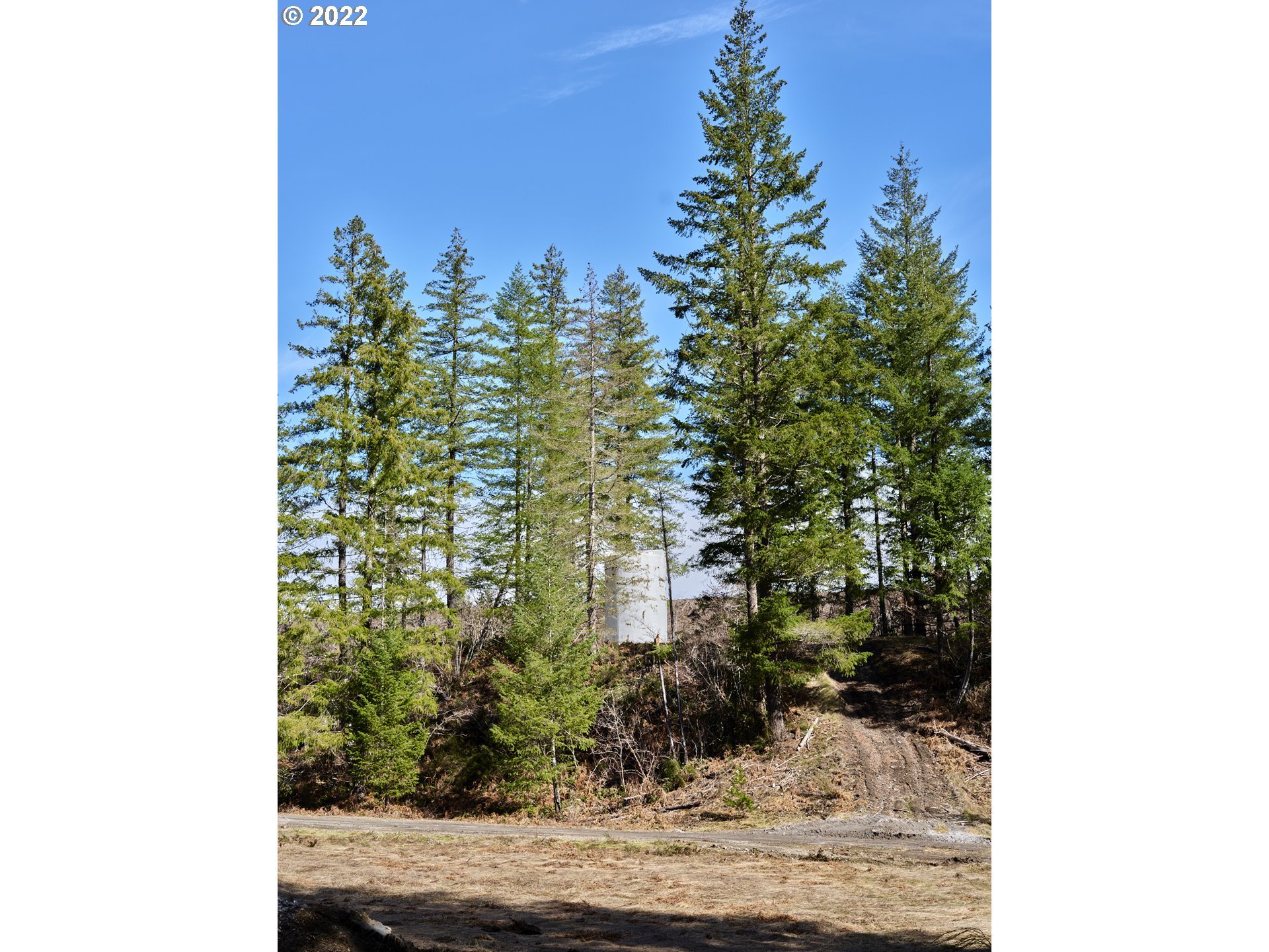 6 Loowit Ln Property Photo 16
