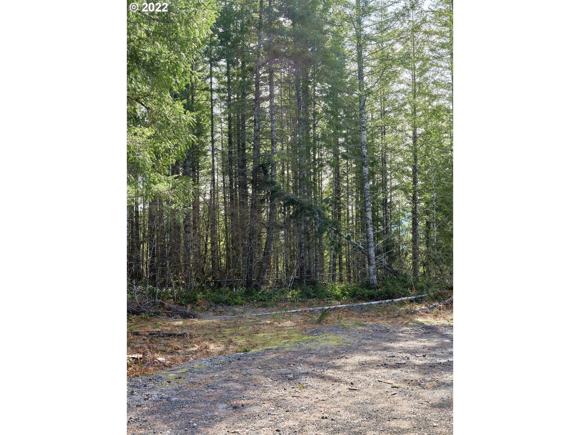 6 Loowit Ln Property Photo 19