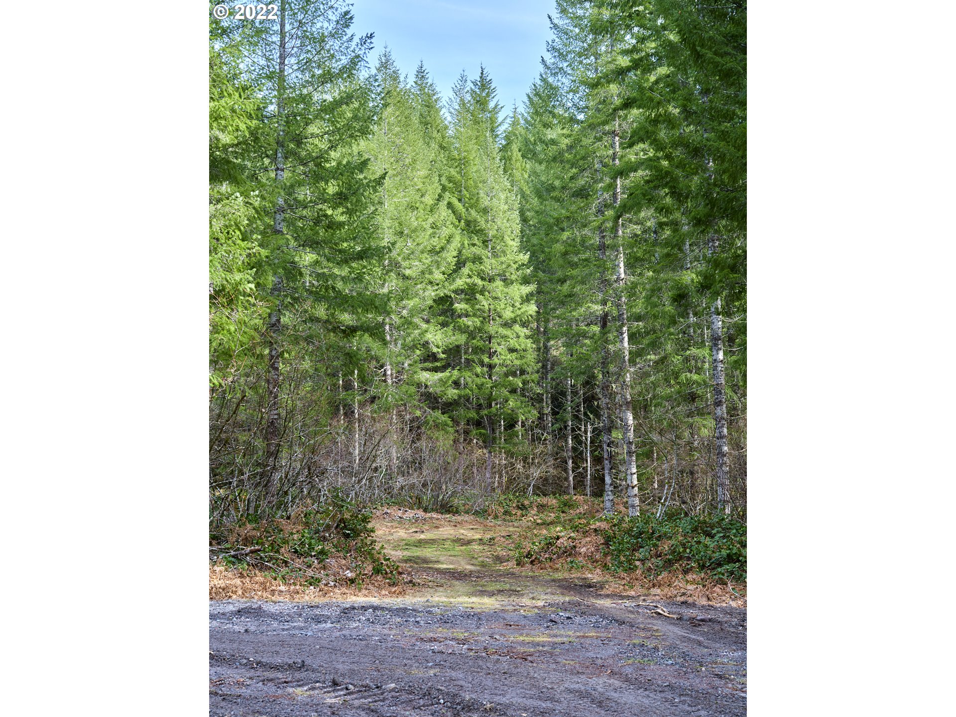 3 Lahar Ln Property Photo 11