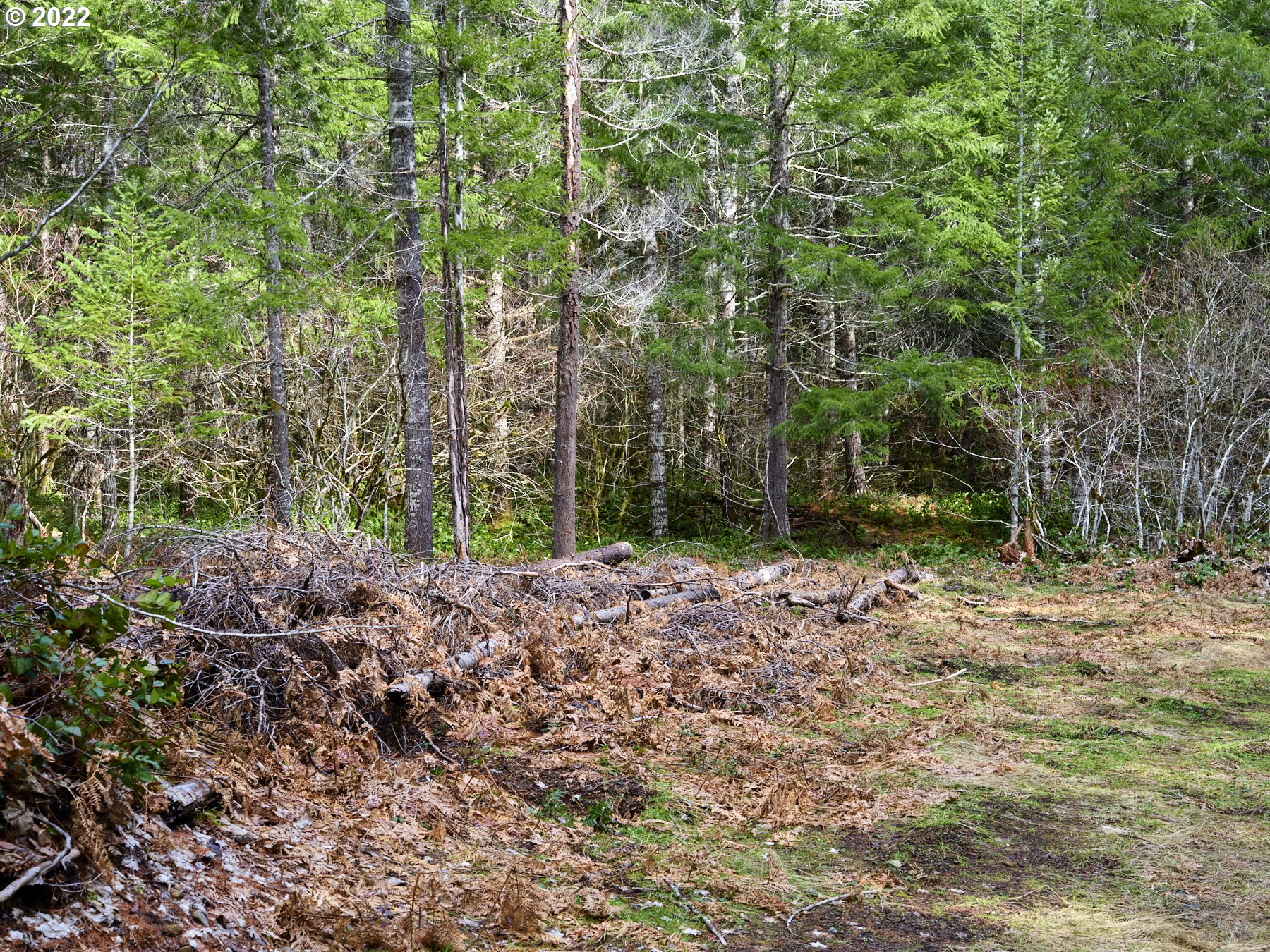 3 Lahar Ln Property Photo 12