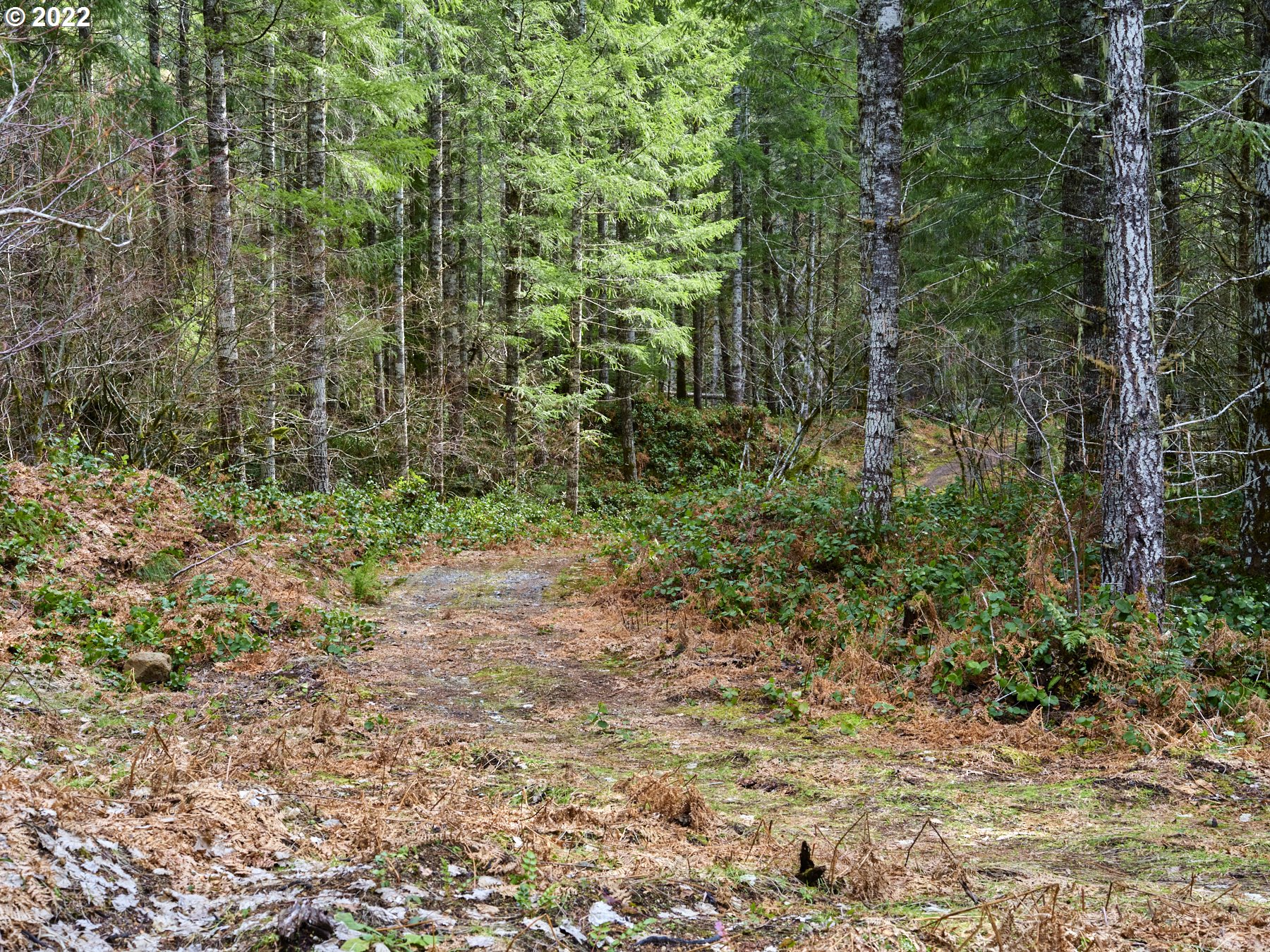 3 Lahar Ln Property Photo 13