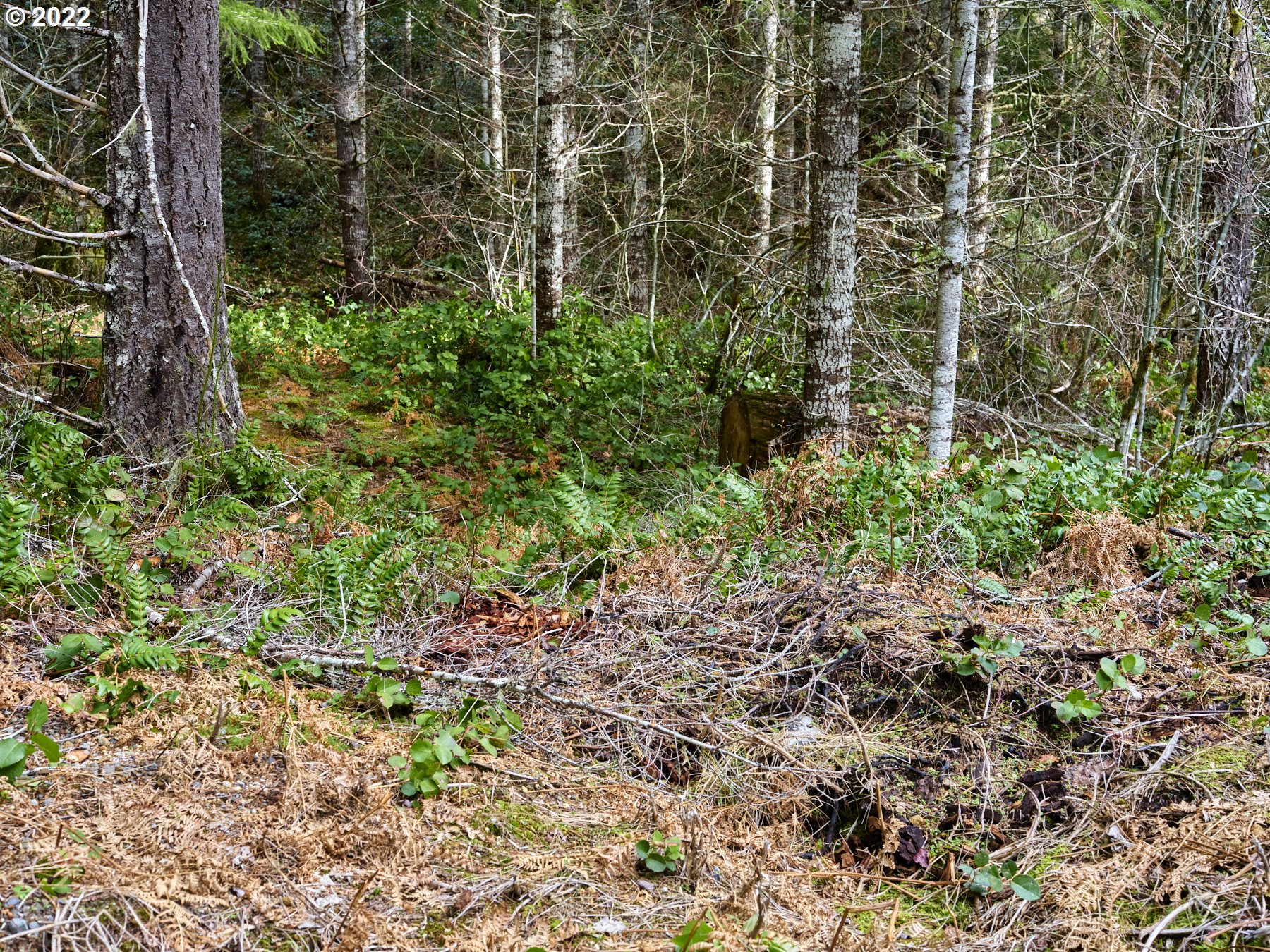 3 Lahar Ln Property Photo 14