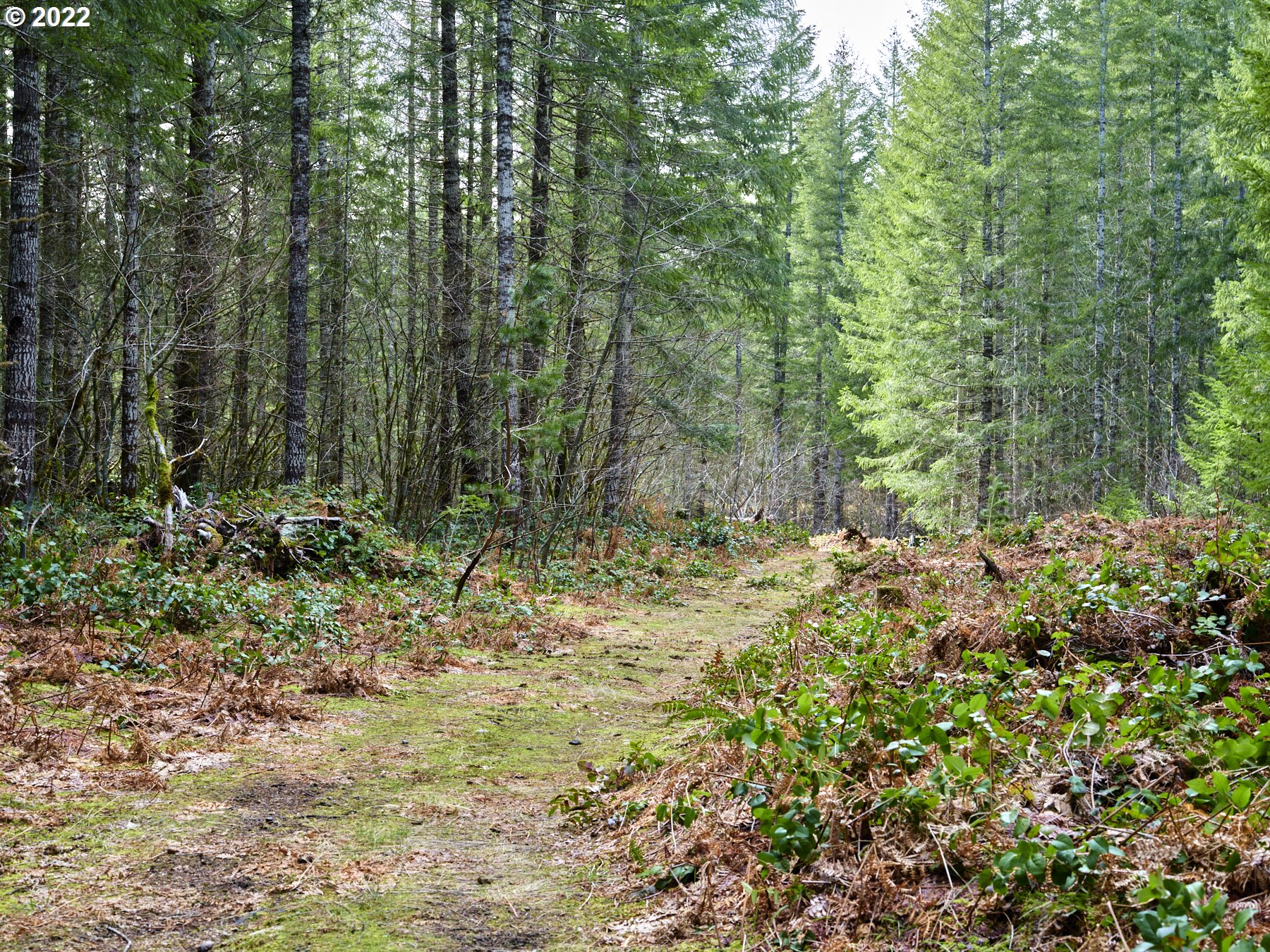 3 Lahar Ln Property Photo 16