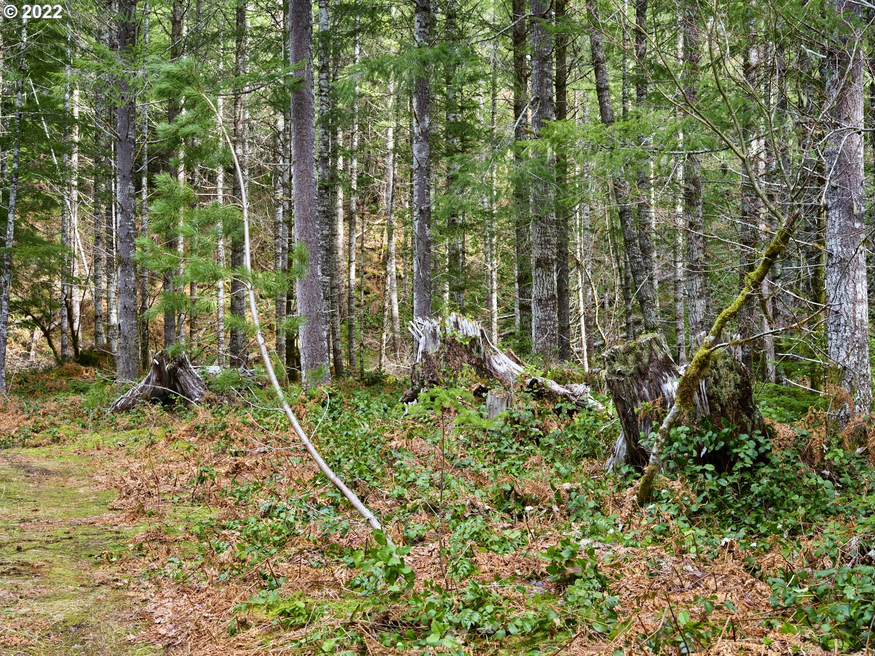 3 Lahar Ln Property Photo 18