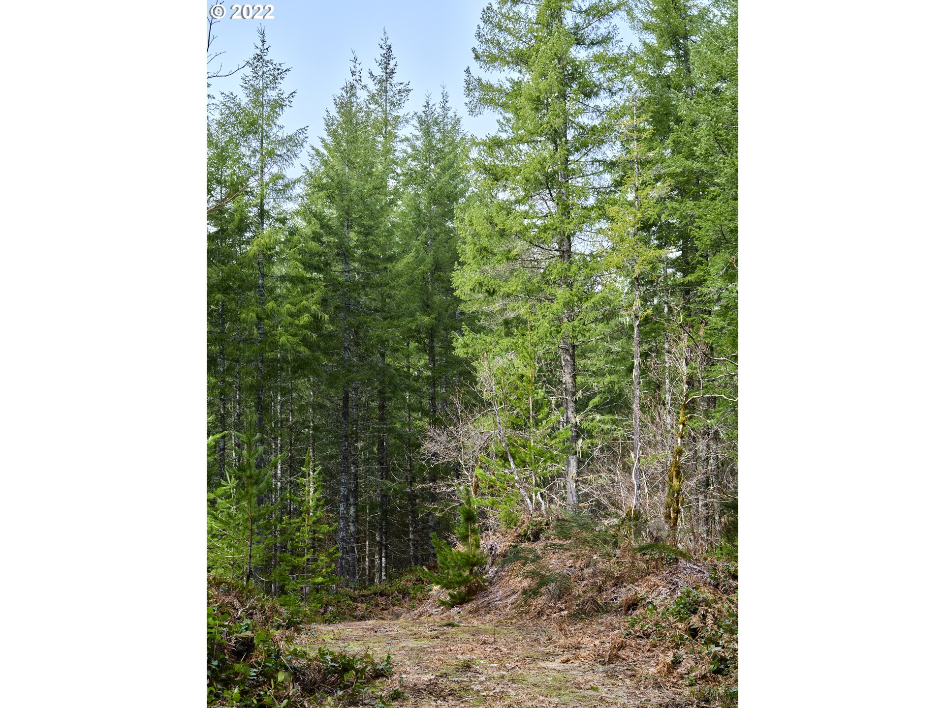 3 Lahar Ln Property Photo 21