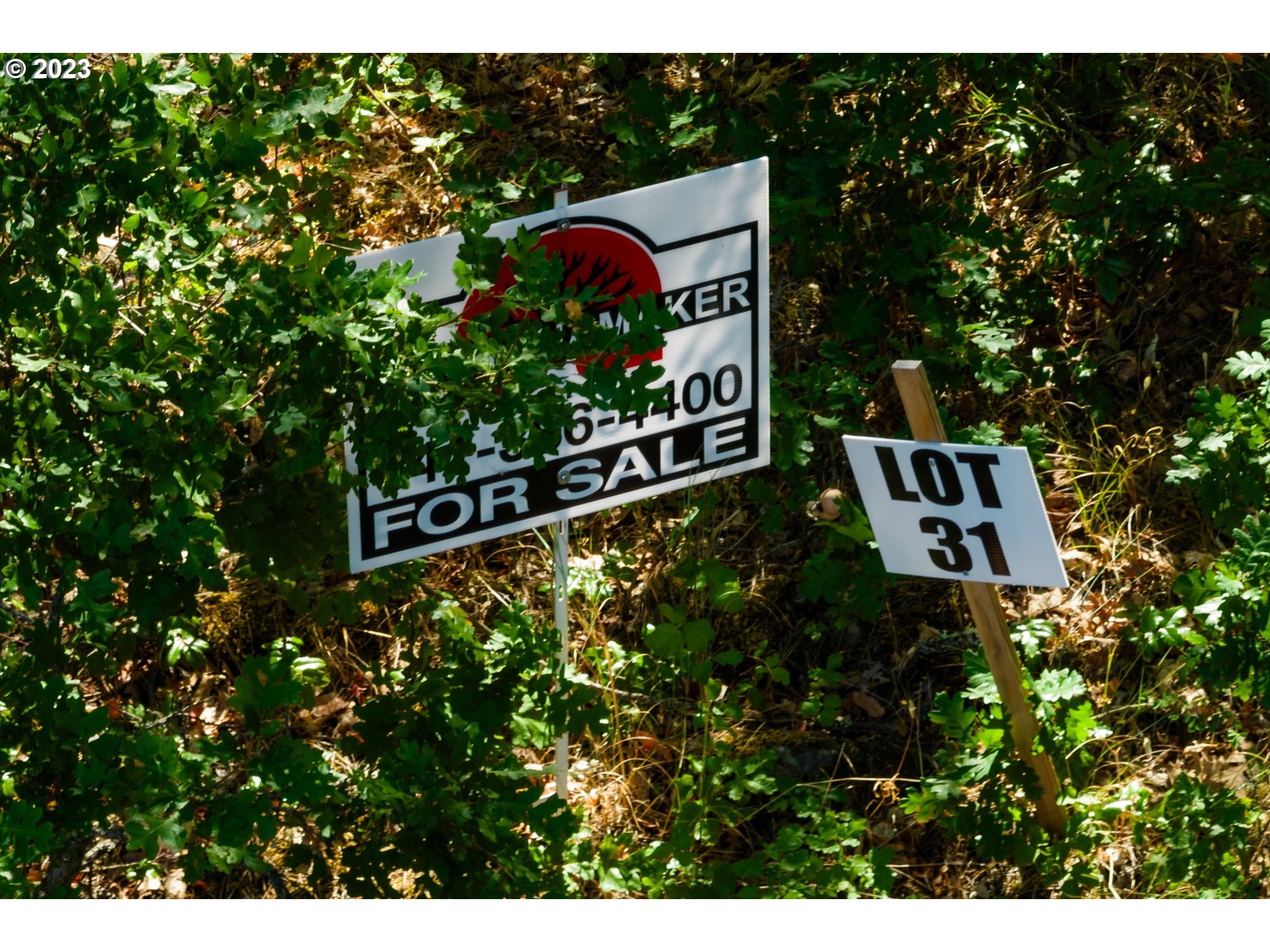 Asher St 31 Property Photo 4
