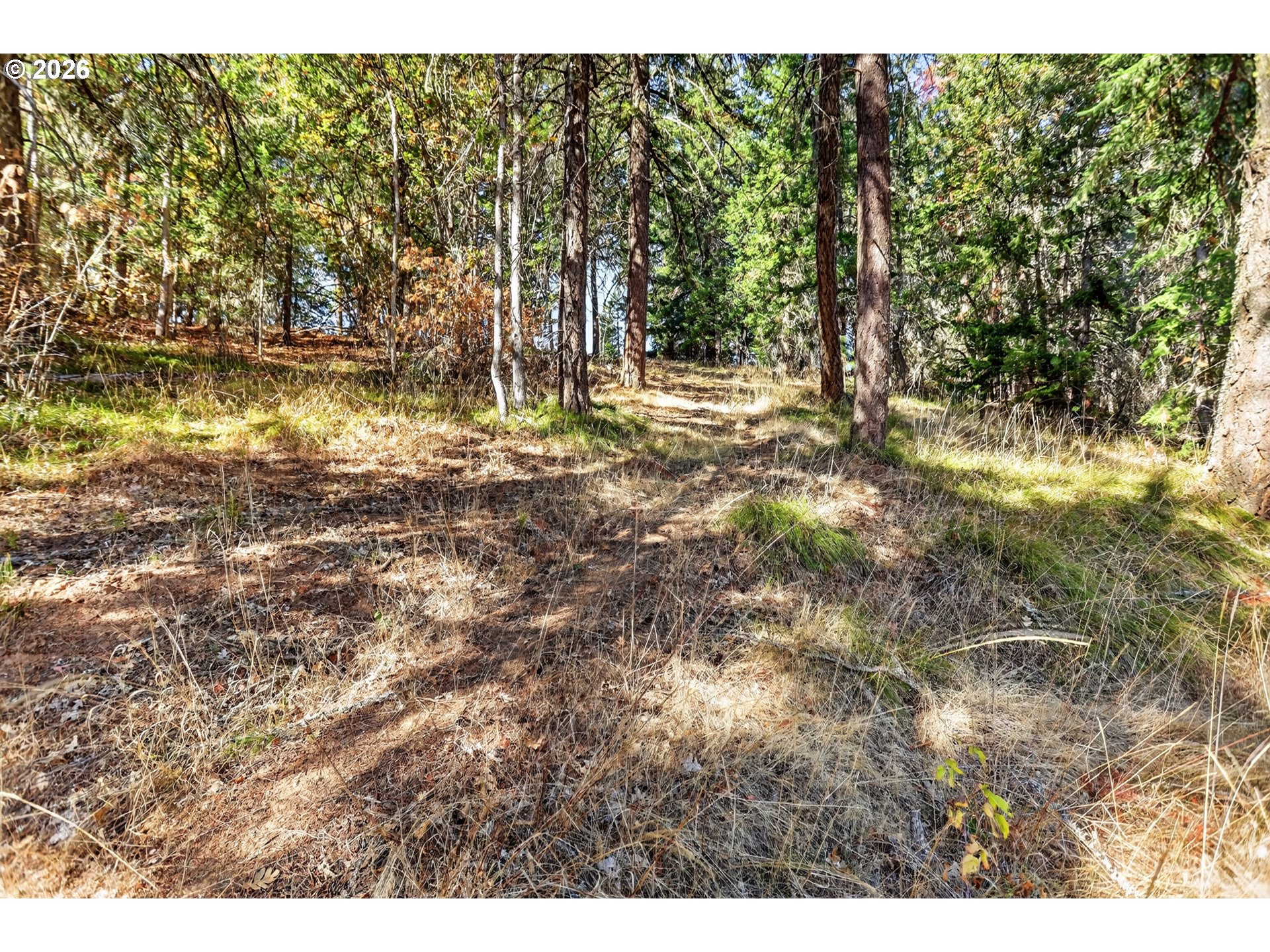 26 Mt View Rd Property Photo 44