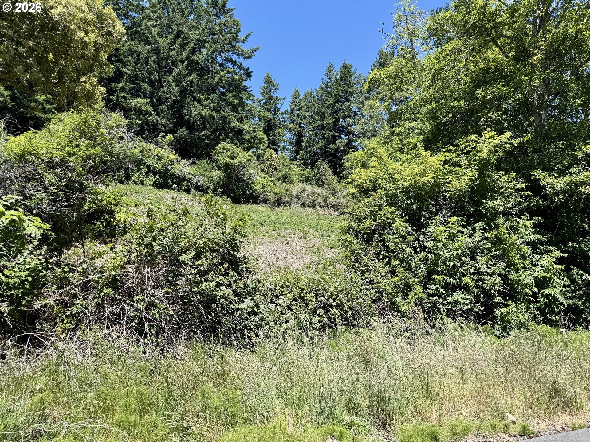 00 Thompson` Rd Property Photo 10