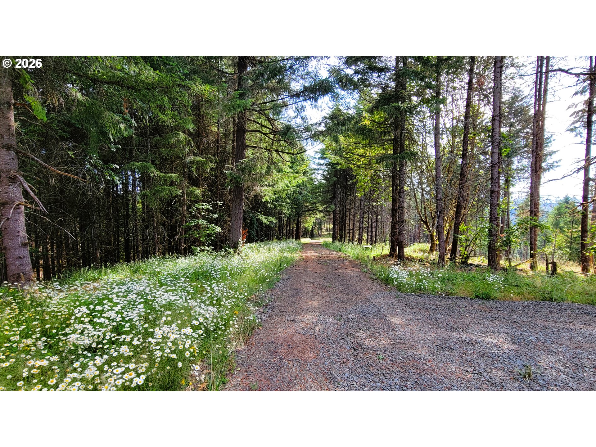 86830 Northill Ranch Rd 106 Property Photo 3