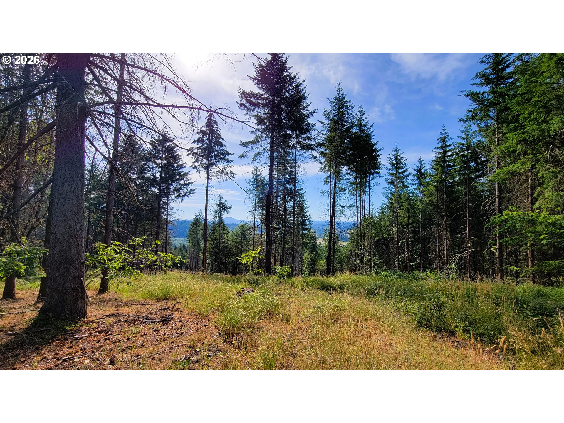 86830 Northill Ranch Rd 106 Property Photo 5