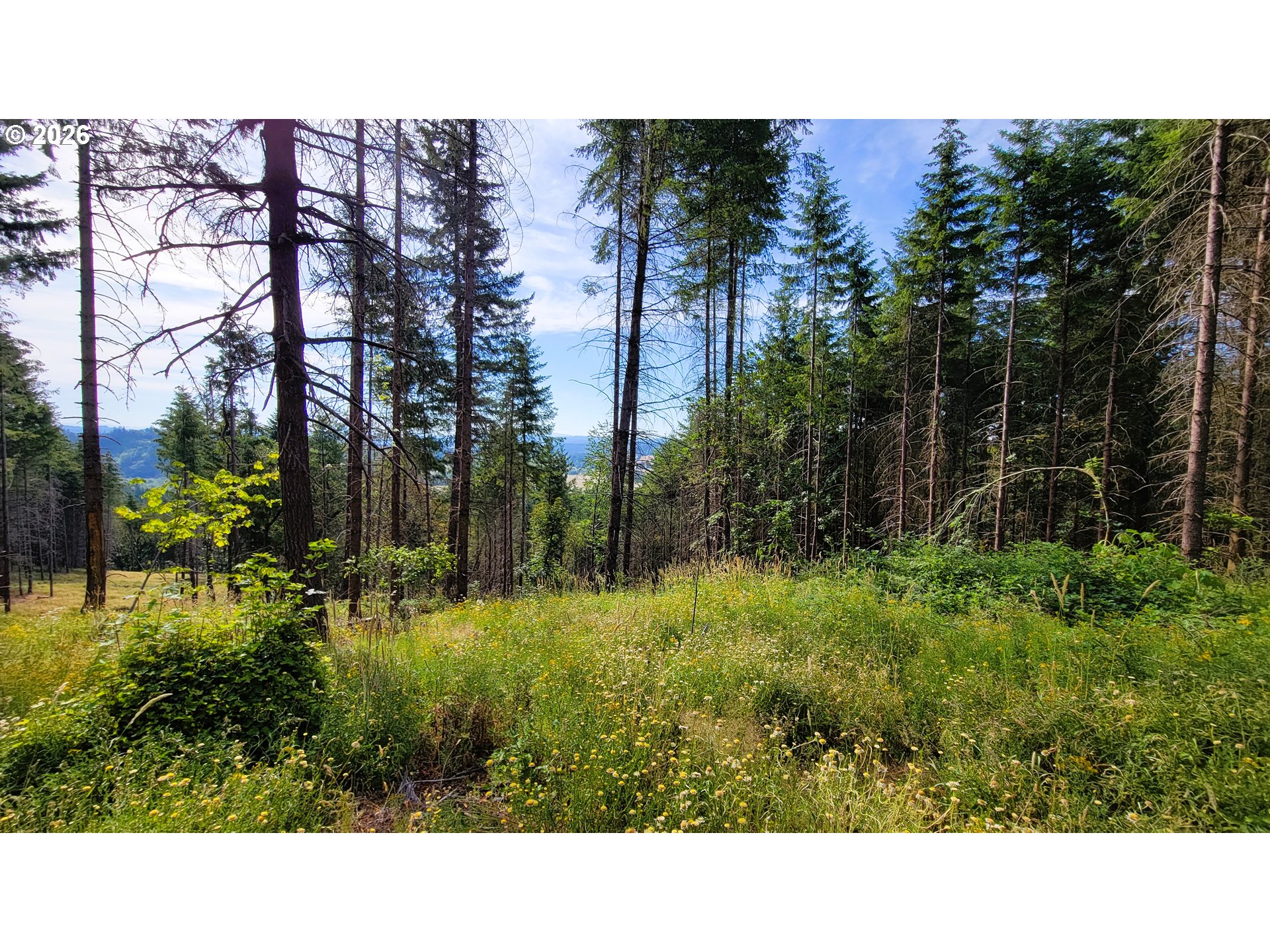 86830 Northill Ranch Rd 106 Property Photo 6