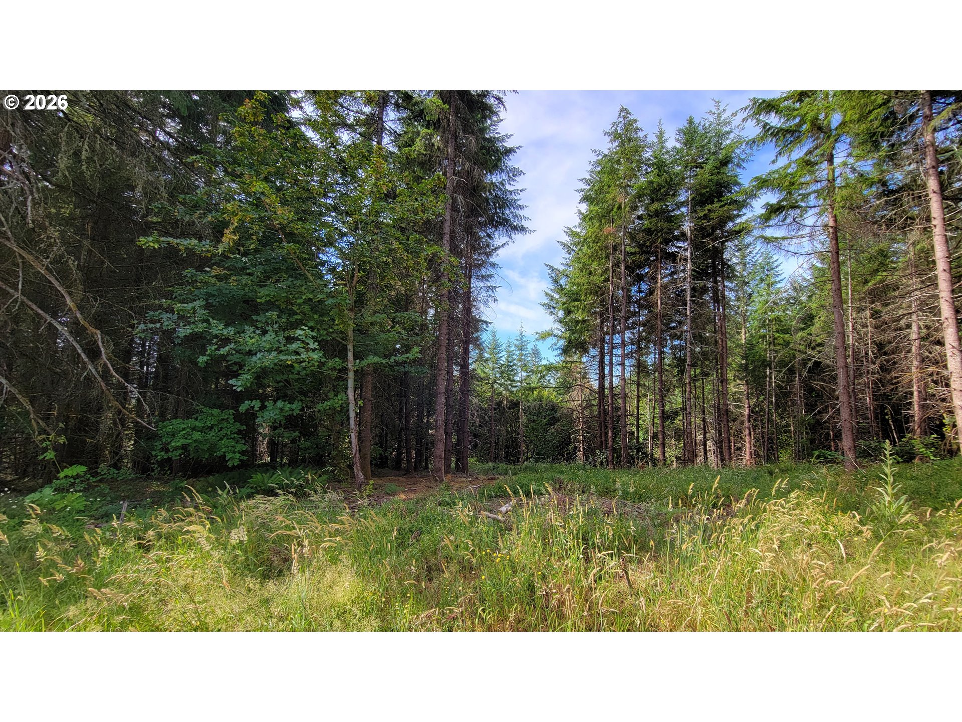 86830 Northill Ranch Rd 106 Property Photo 10