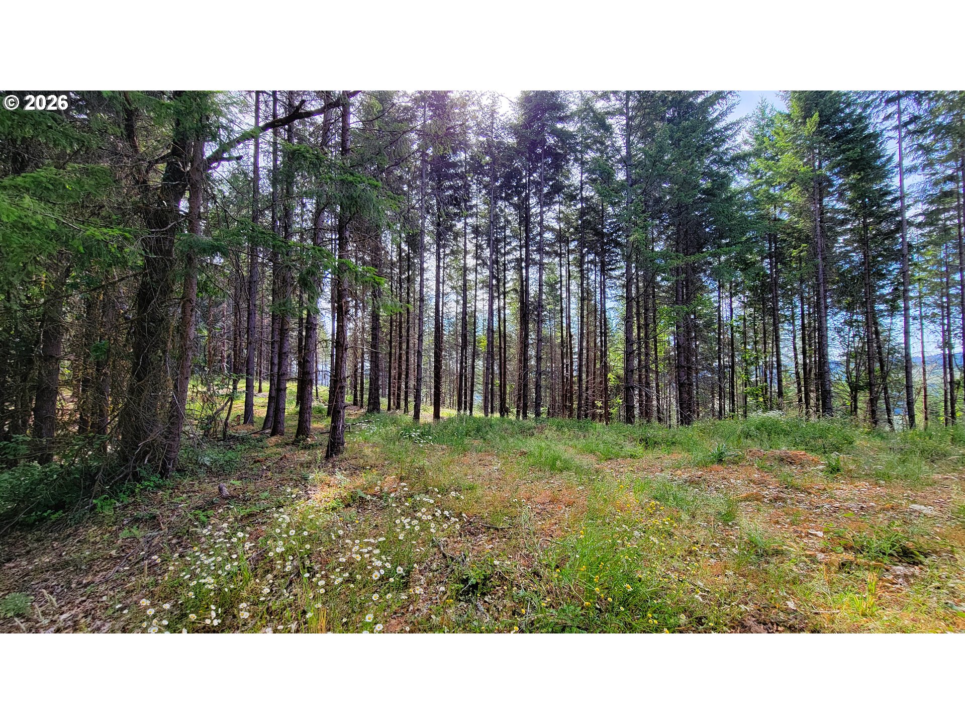 86830 Northill Ranch Rd 106 Property Photo 11