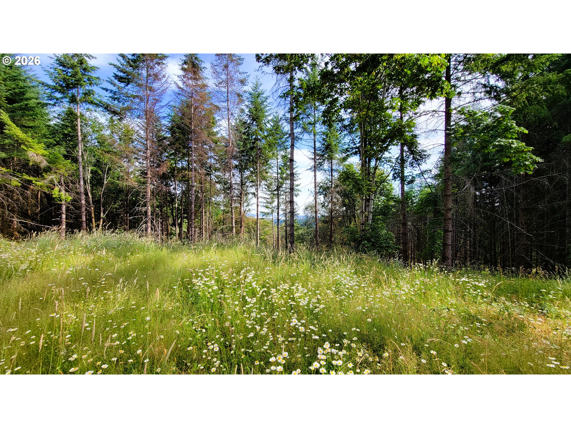 86830 Northill Ranch Rd 106 Property Photo 13