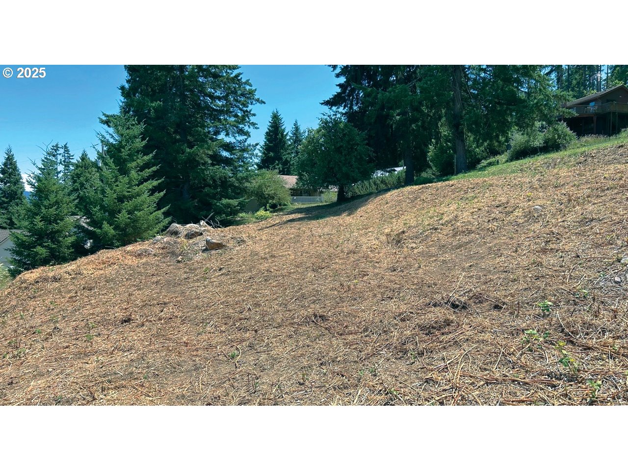 755 Holbrook Property Photo 3