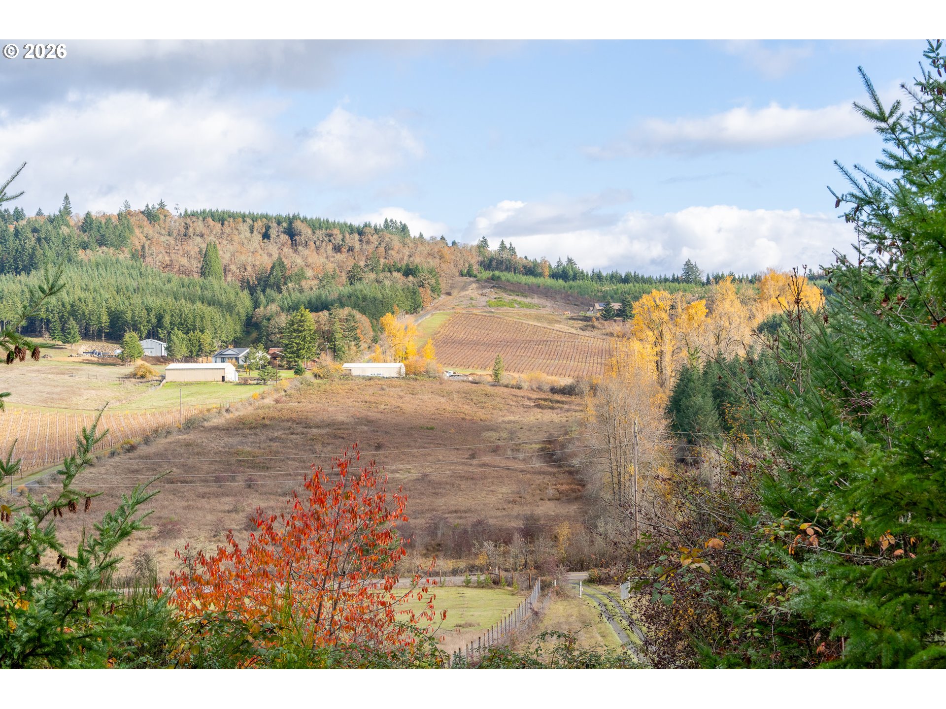 0 Mistletoe Dr Property Photo 6