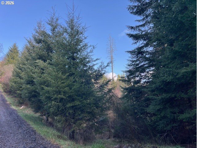 Nw Wilcox Dr Property Photo 12